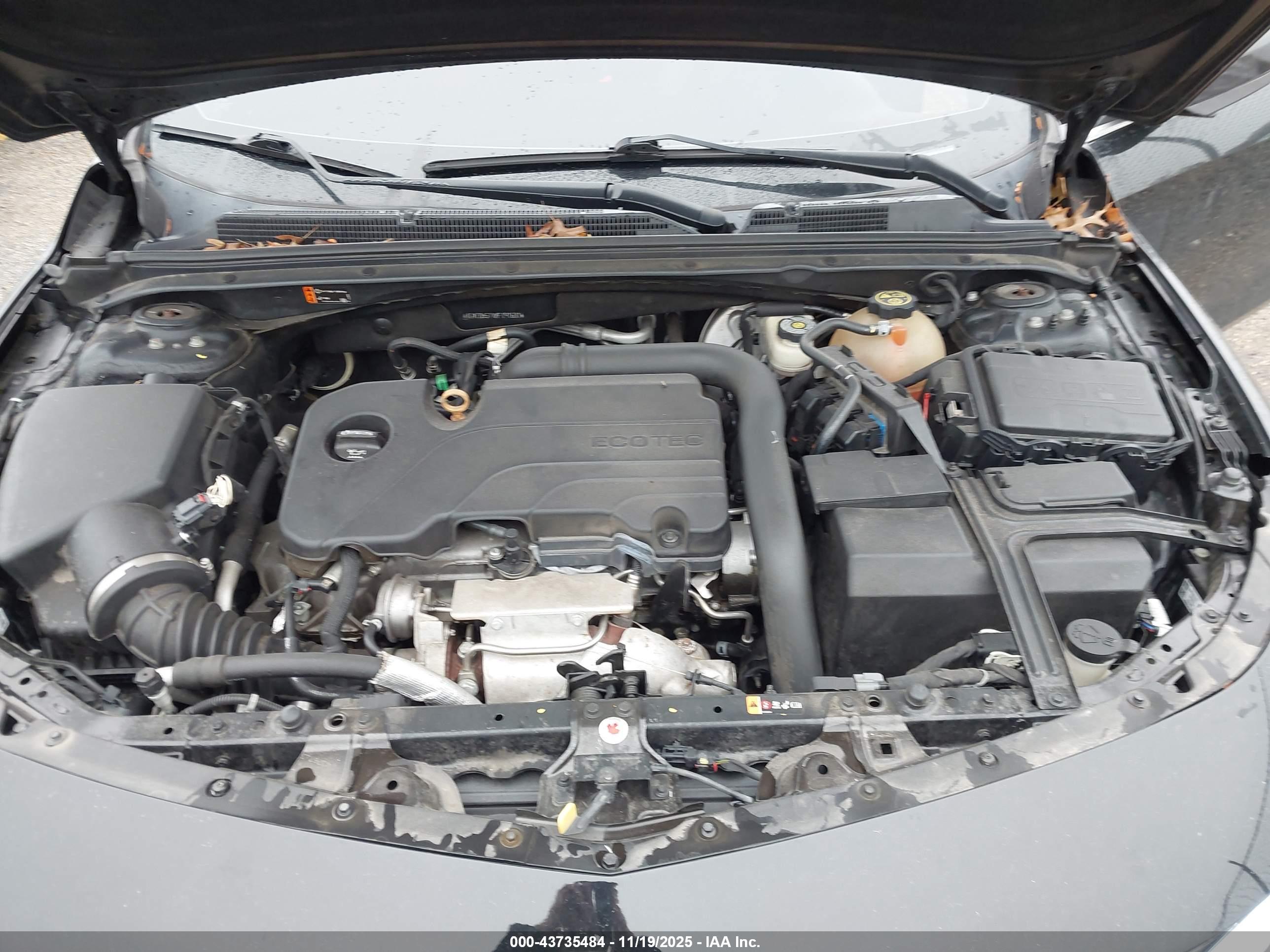 CHEVROLET MALIBU image 10
