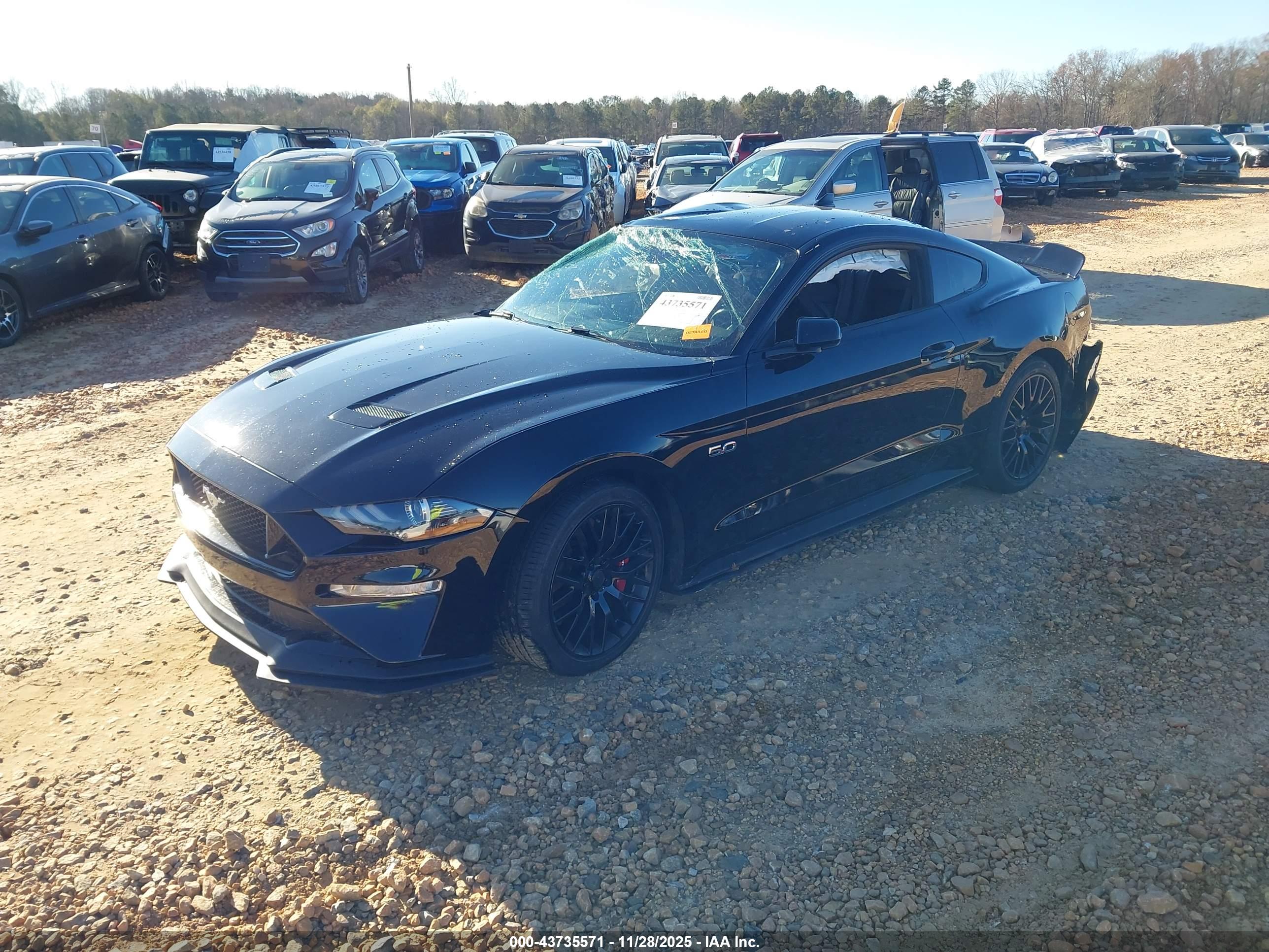 FORD MUSTANG image 2