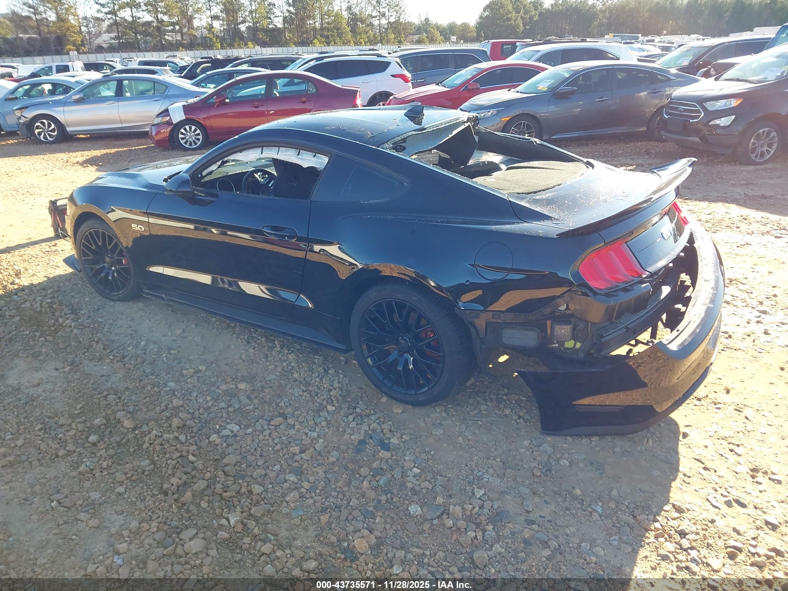 FORD MUSTANG image 3