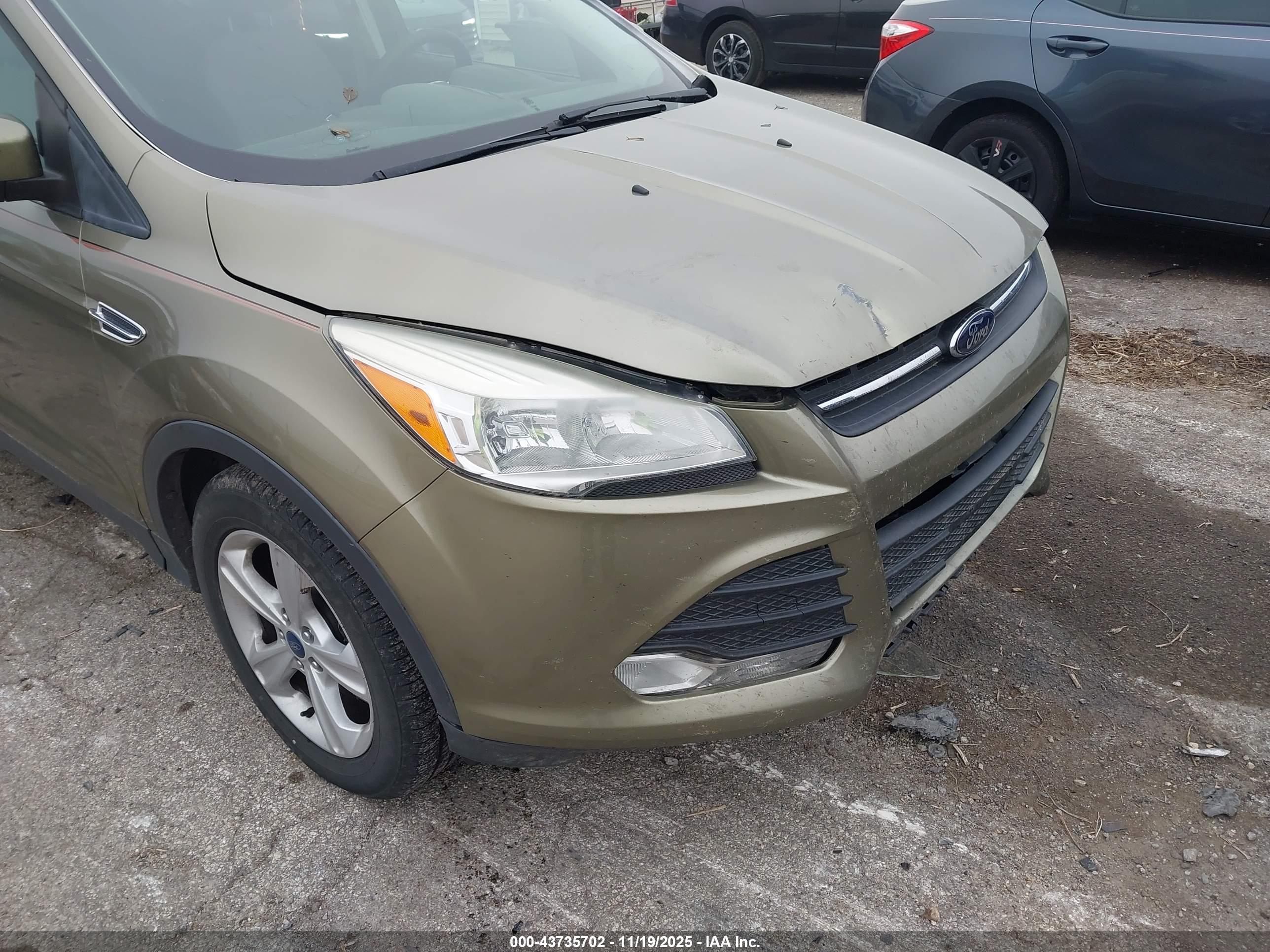 FORD ESCAPE image 6