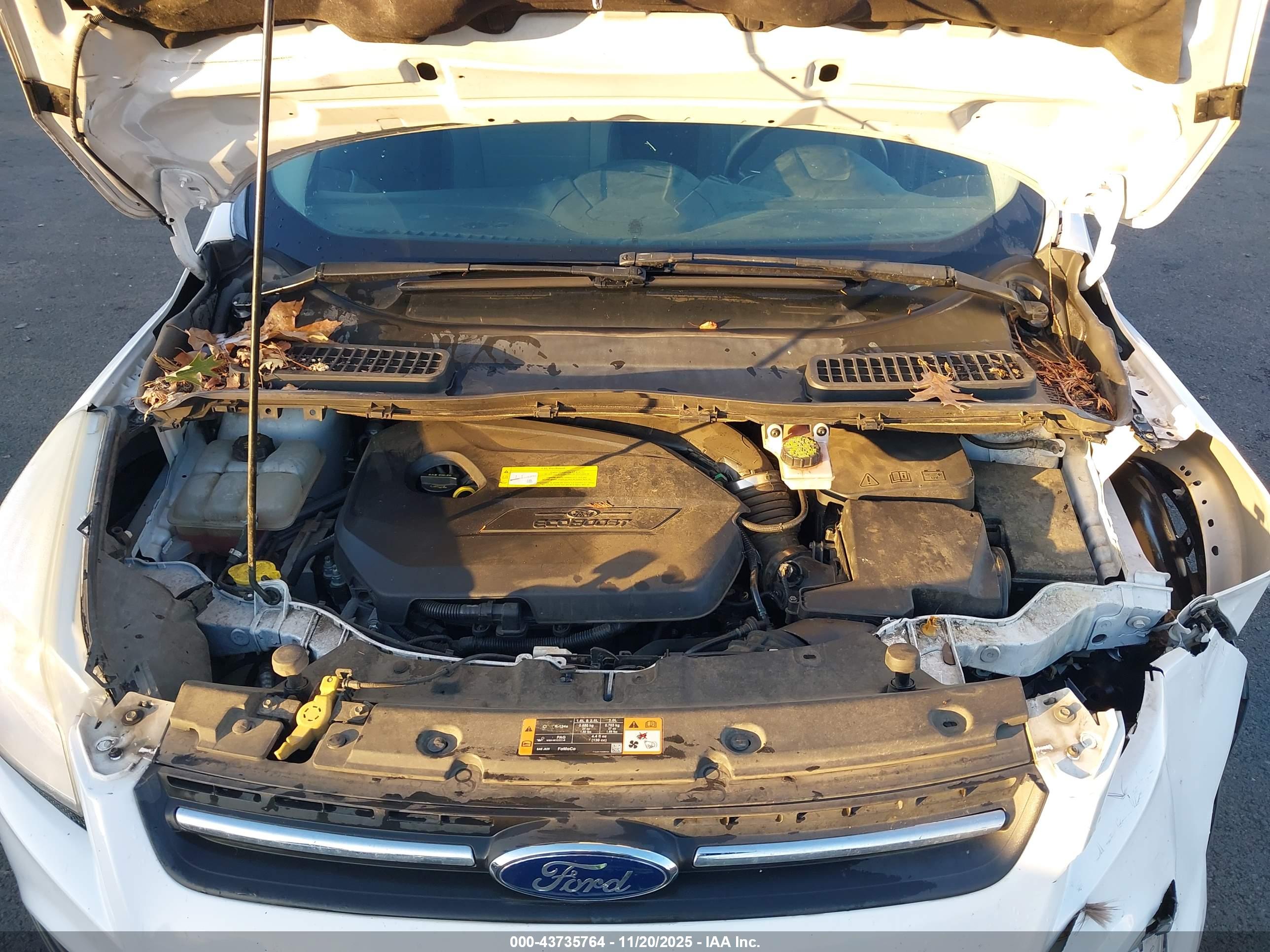 FORD ESCAPE image 10