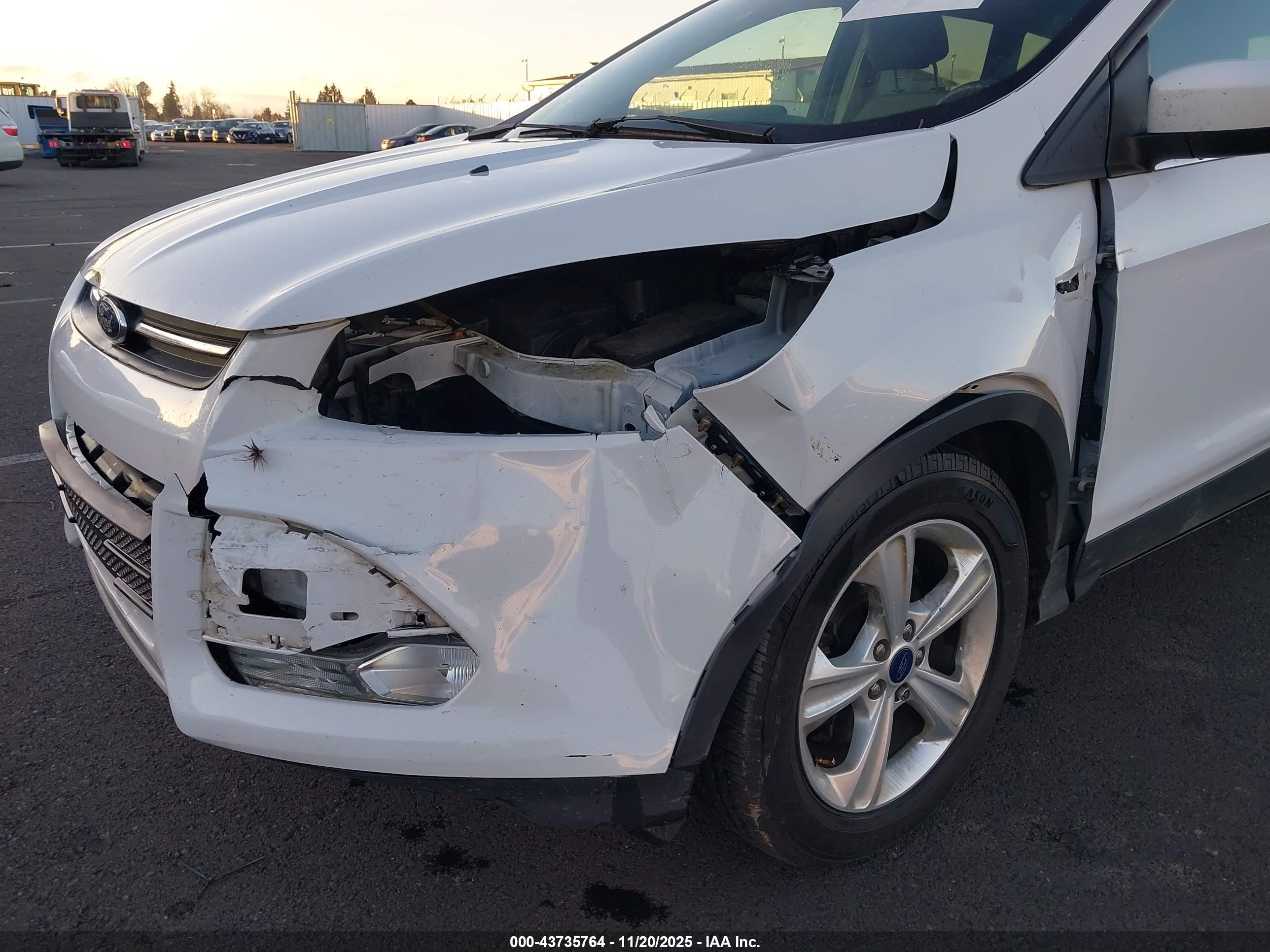 FORD ESCAPE image 6