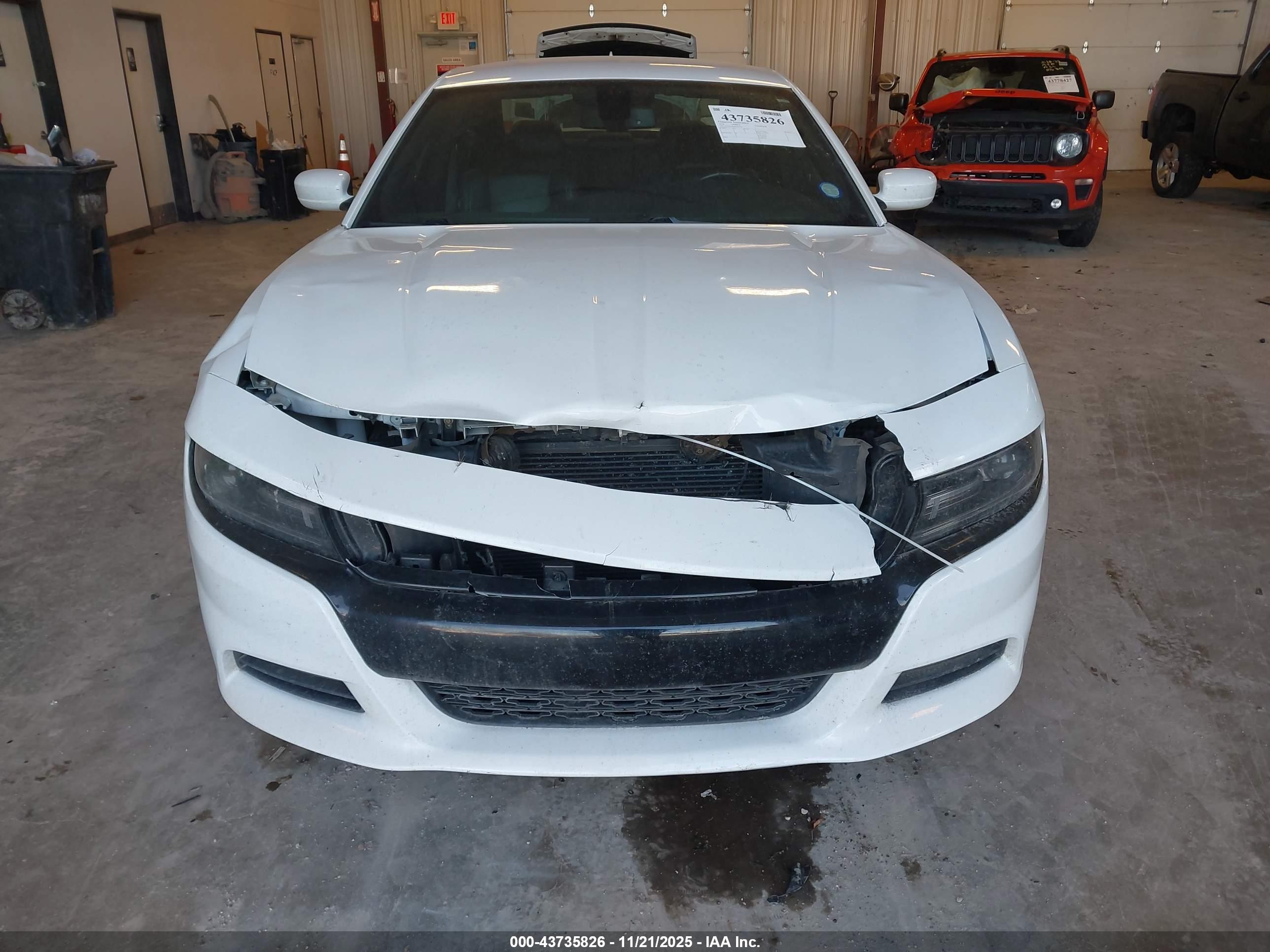 DODGE CHARGER image 6