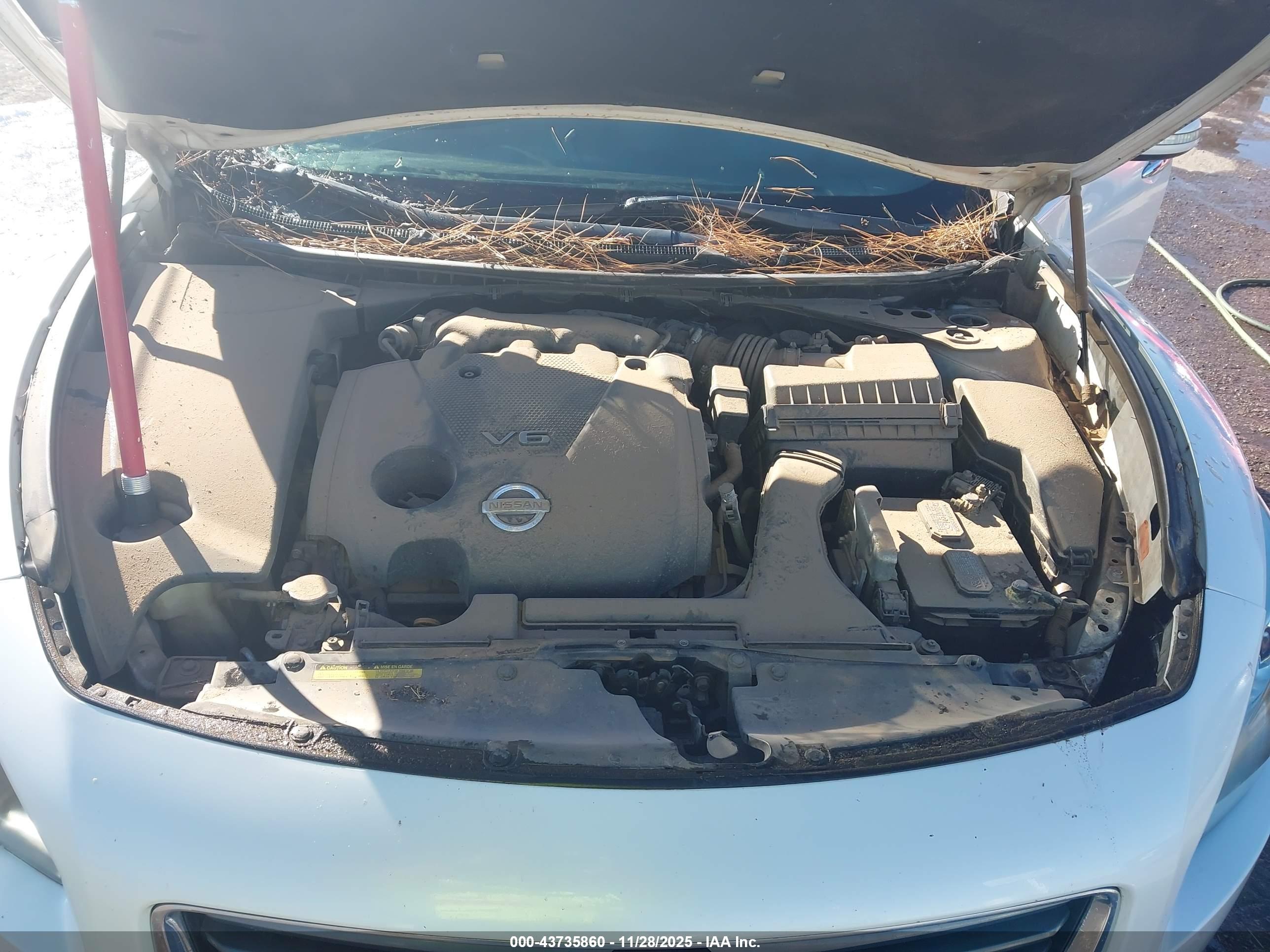 NISSAN MAXIMA image 10