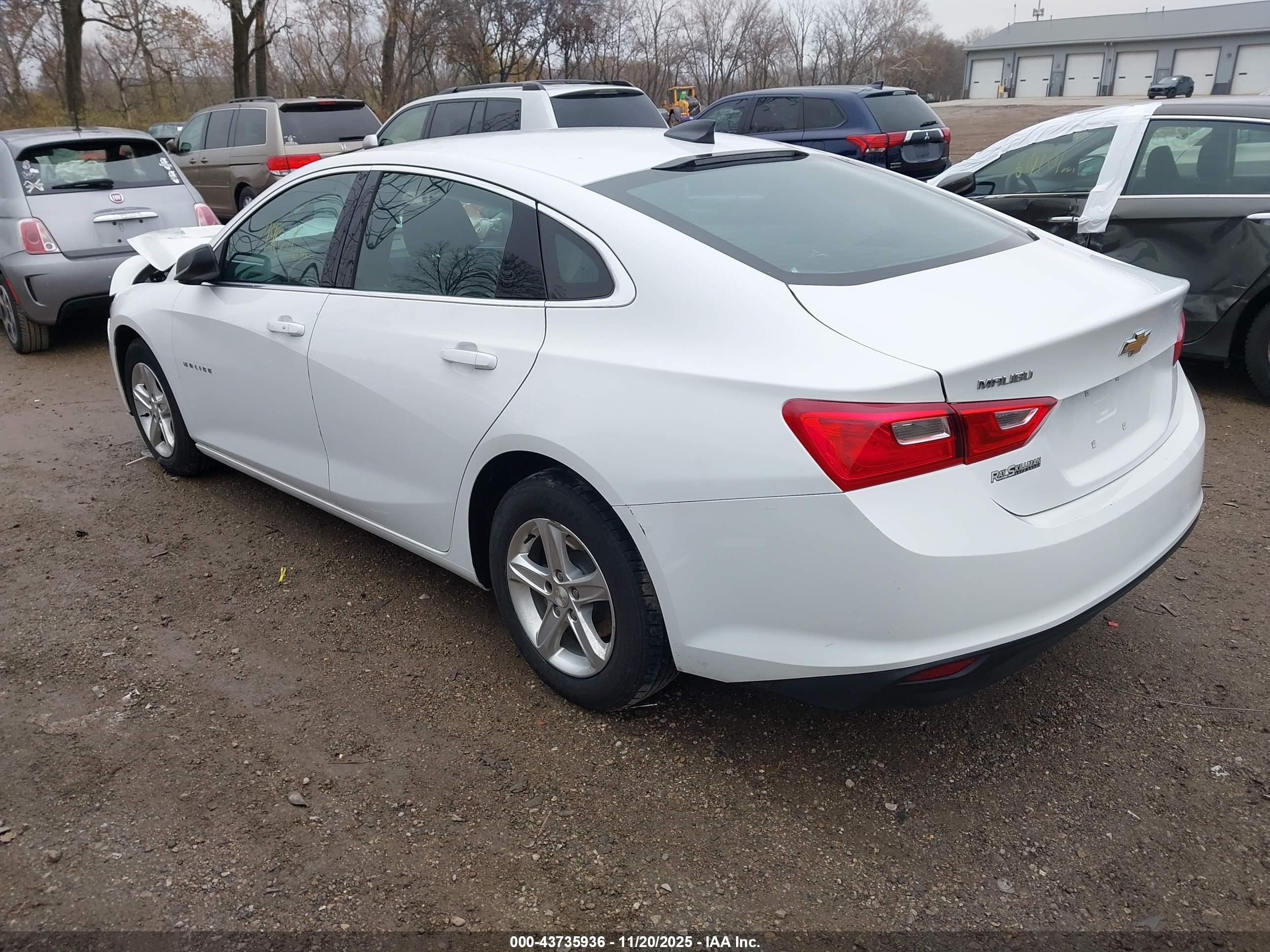 CHEVROLET MALIBU image 3