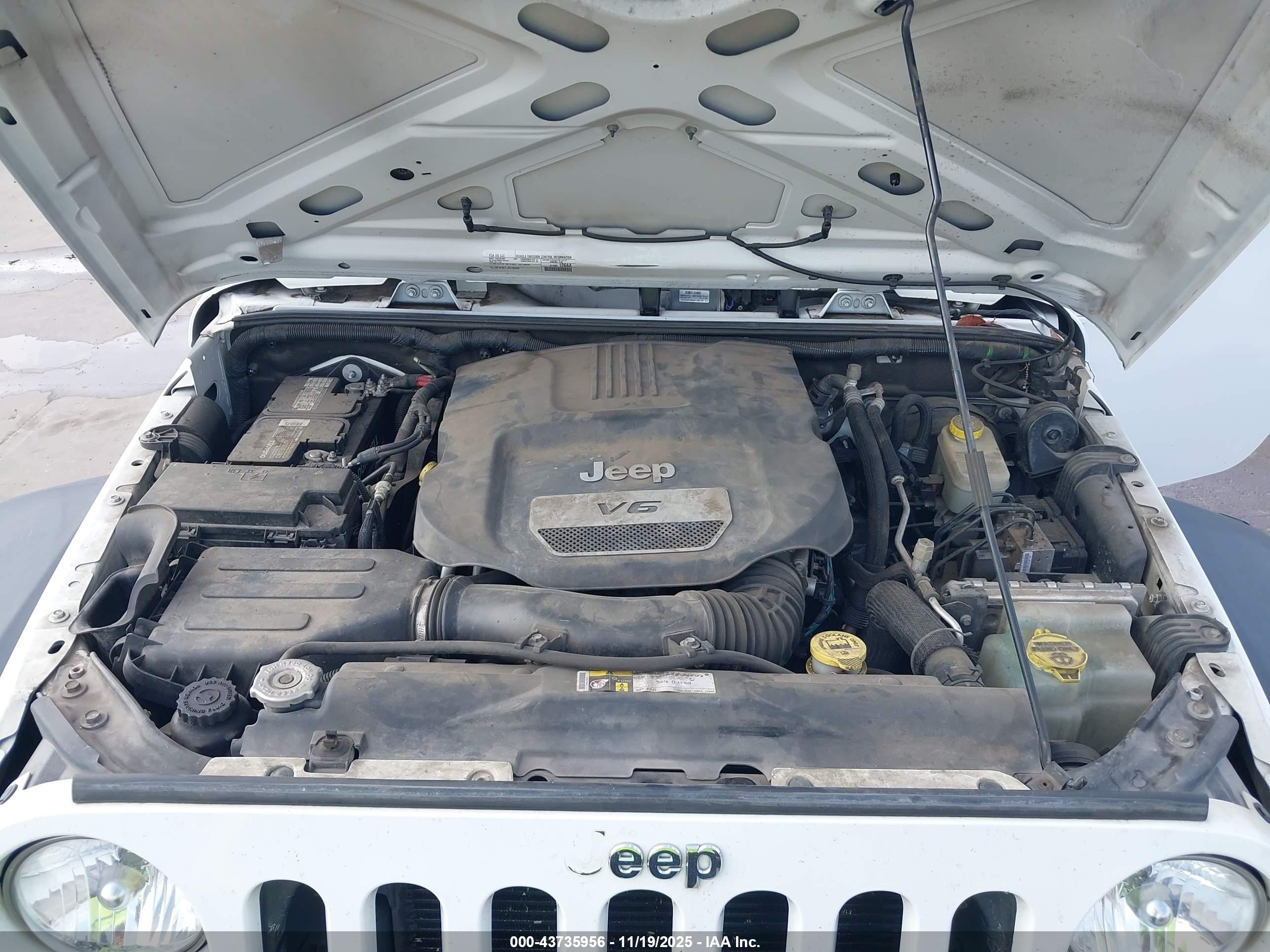 JEEP WRANGLER image 10