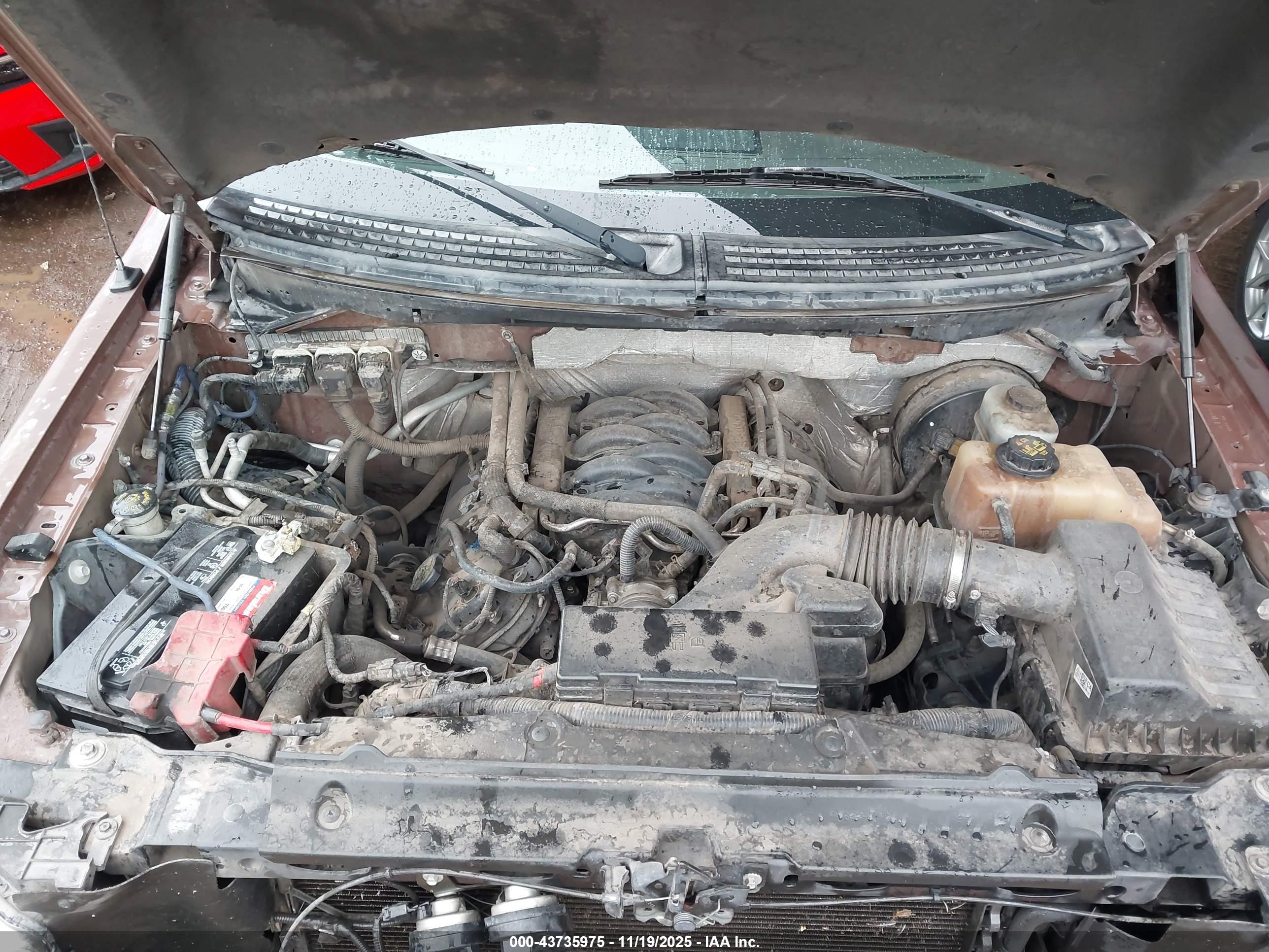 FORD F-150 image 10