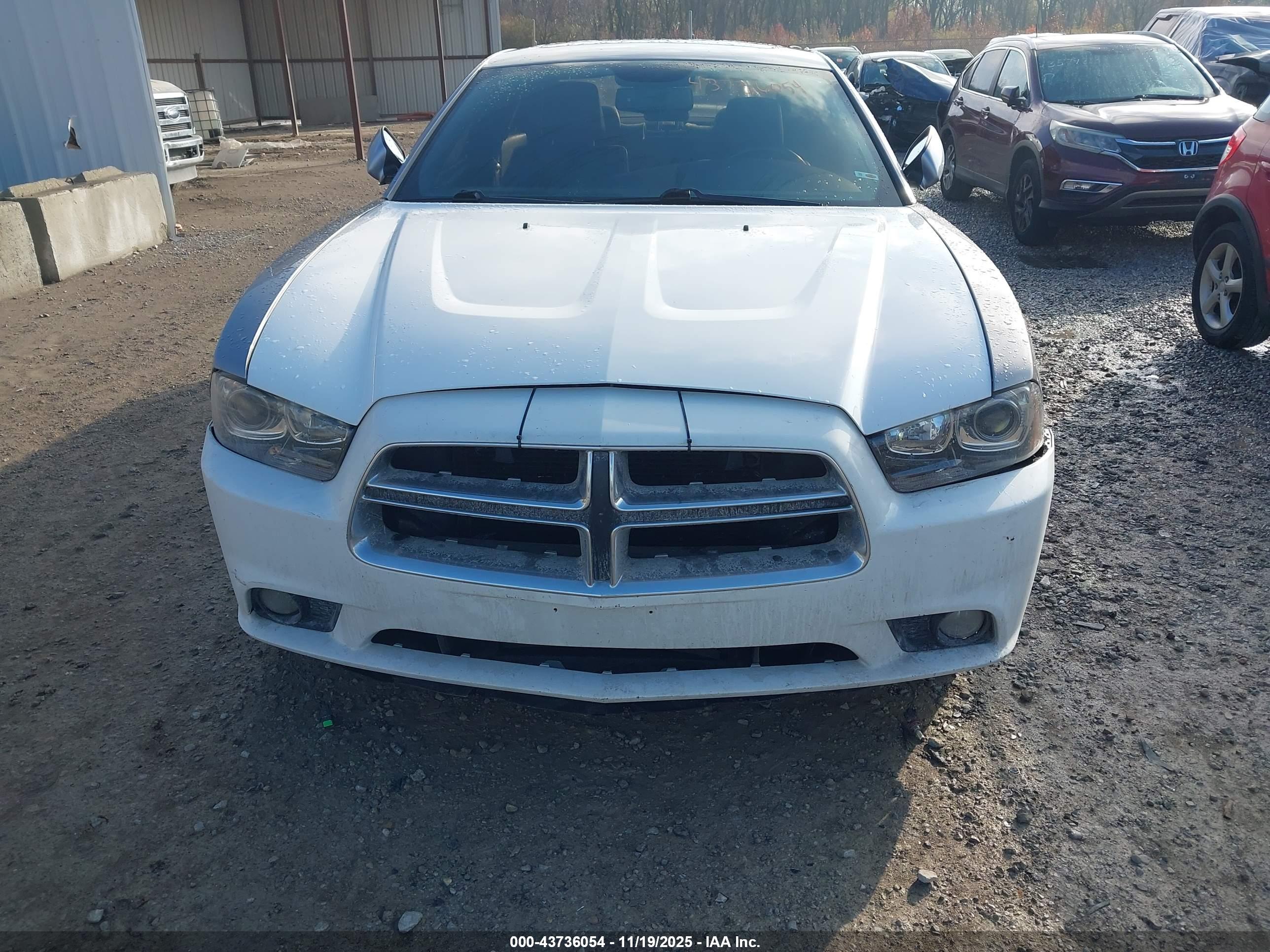 DODGE CHARGER image 6