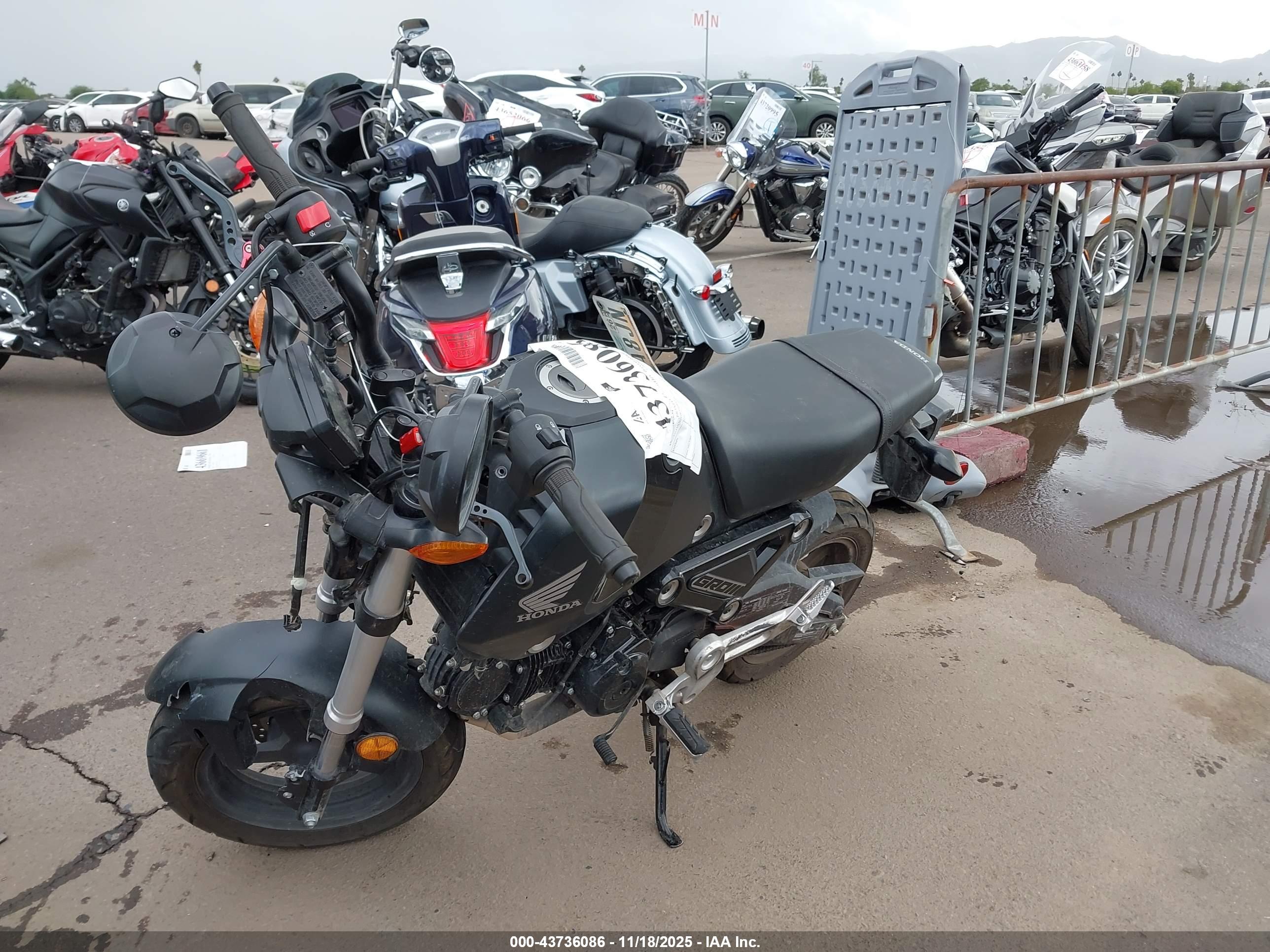 HONDA GROM image 2