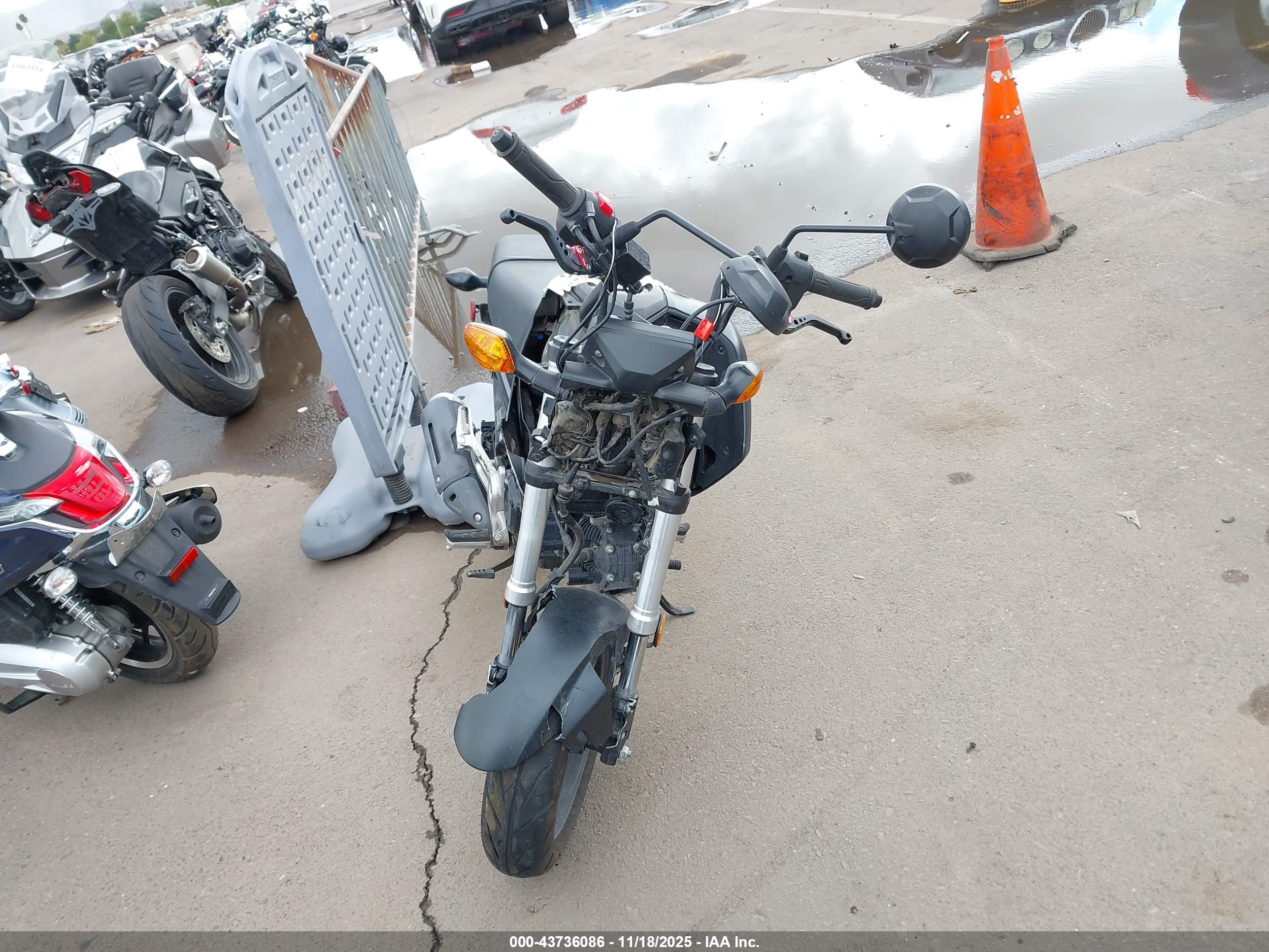 HONDA GROM image 5