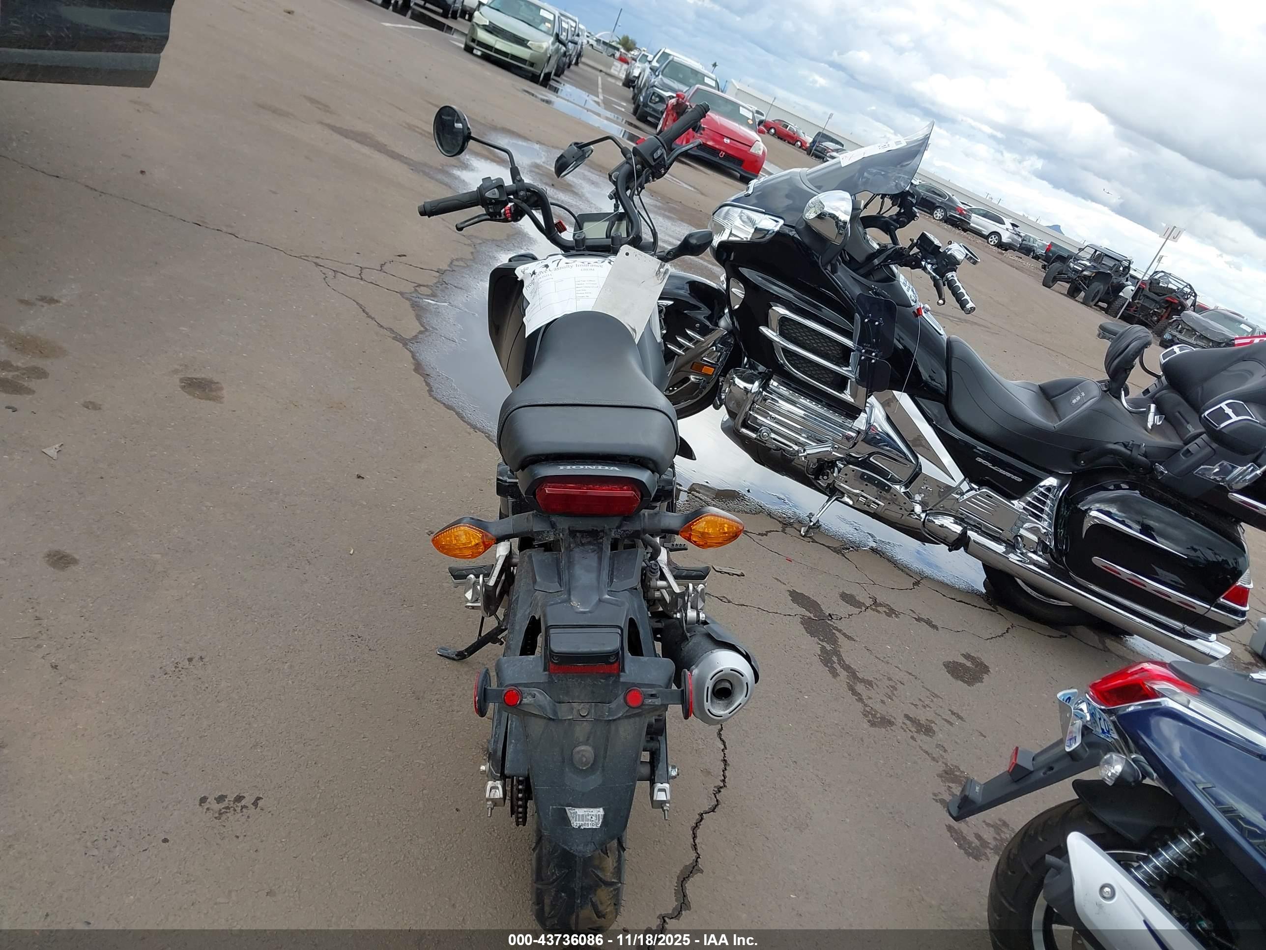 HONDA GROM image 6