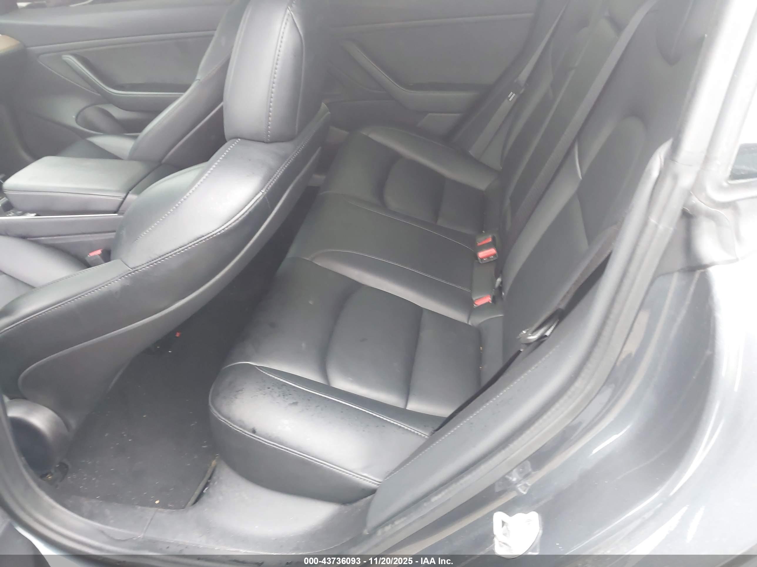 TESLA MODEL image 8