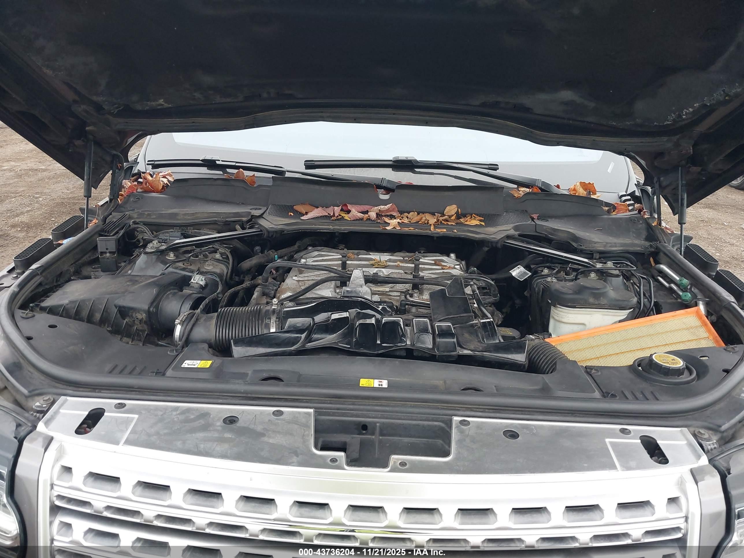 LAND ROVER image 10