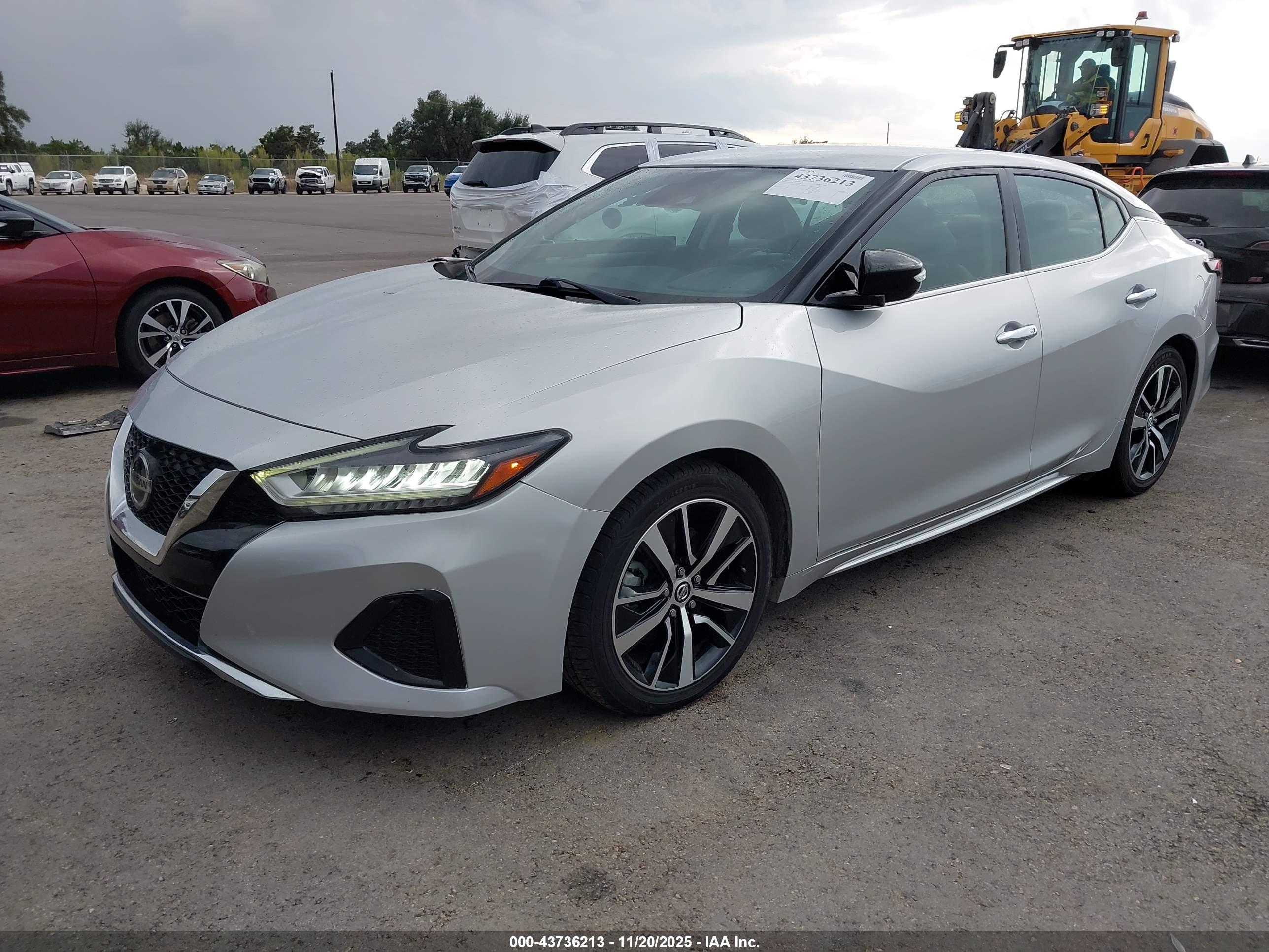 NISSAN MAXIMA image 2