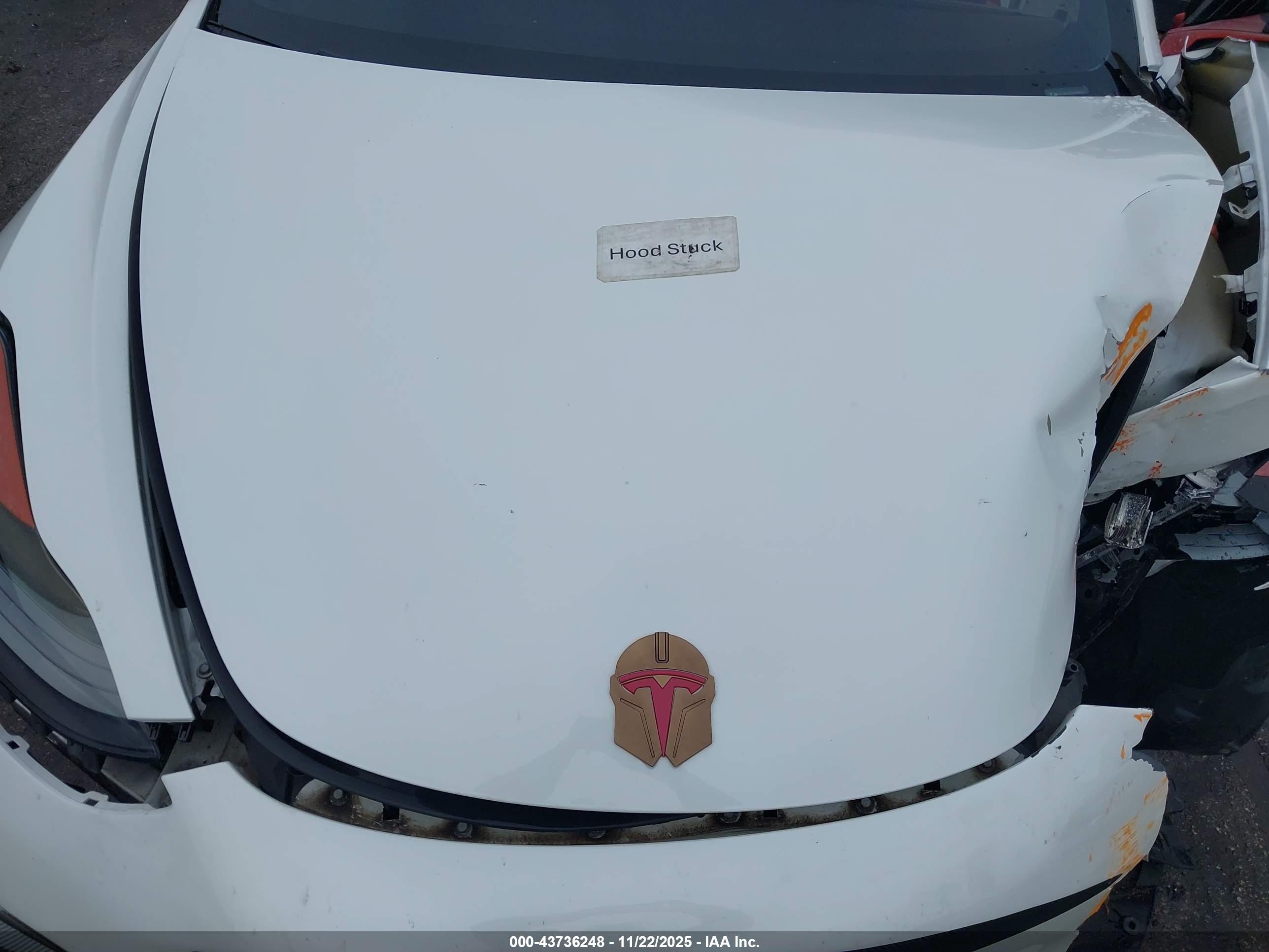 TESLA MODEL image 10