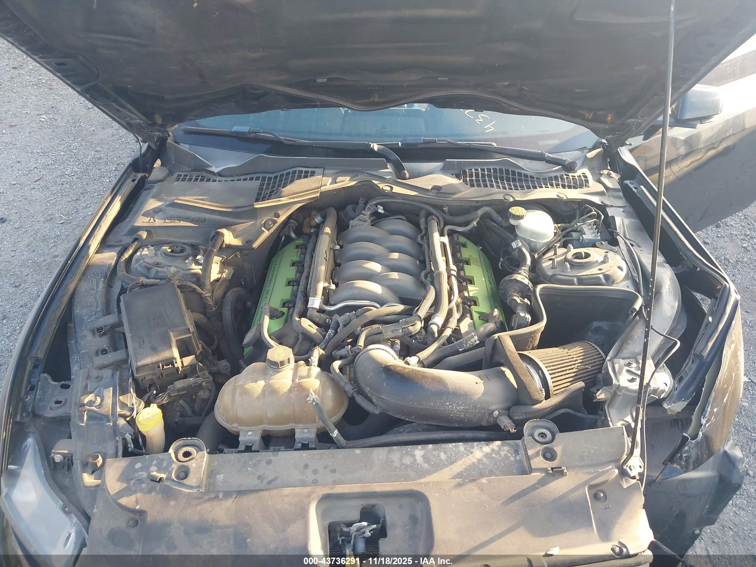 FORD MUSTANG image 10