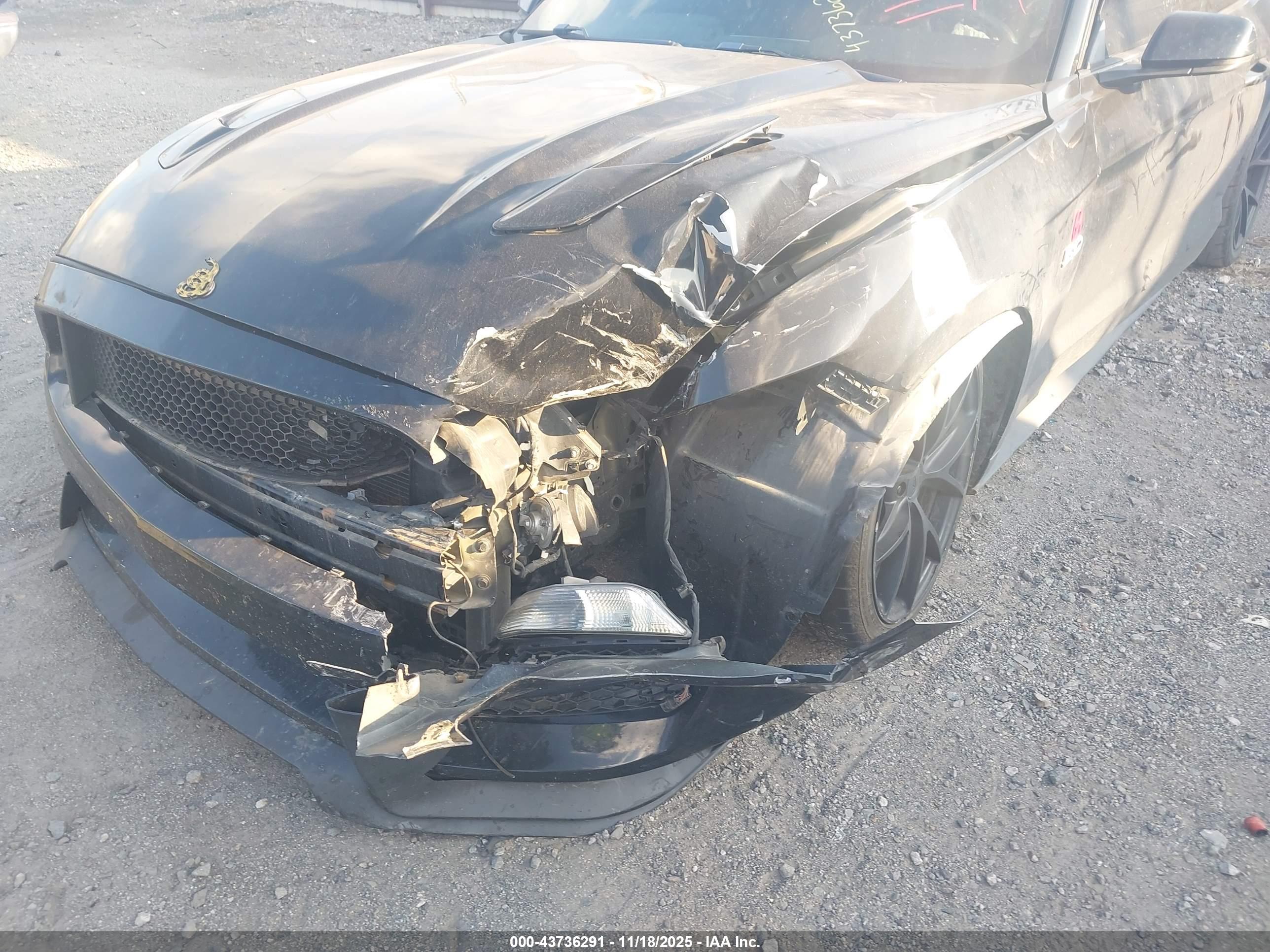 FORD MUSTANG image 6