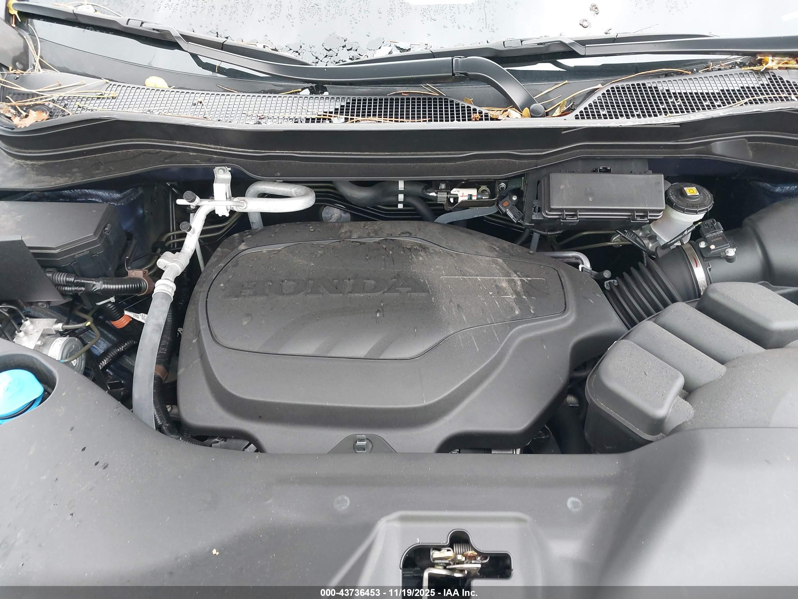 HONDA PASSPORT image 10