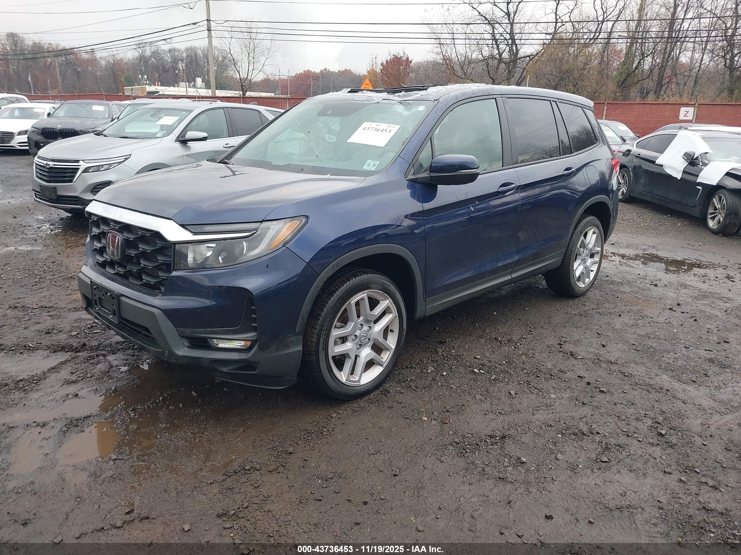 HONDA PASSPORT image 2