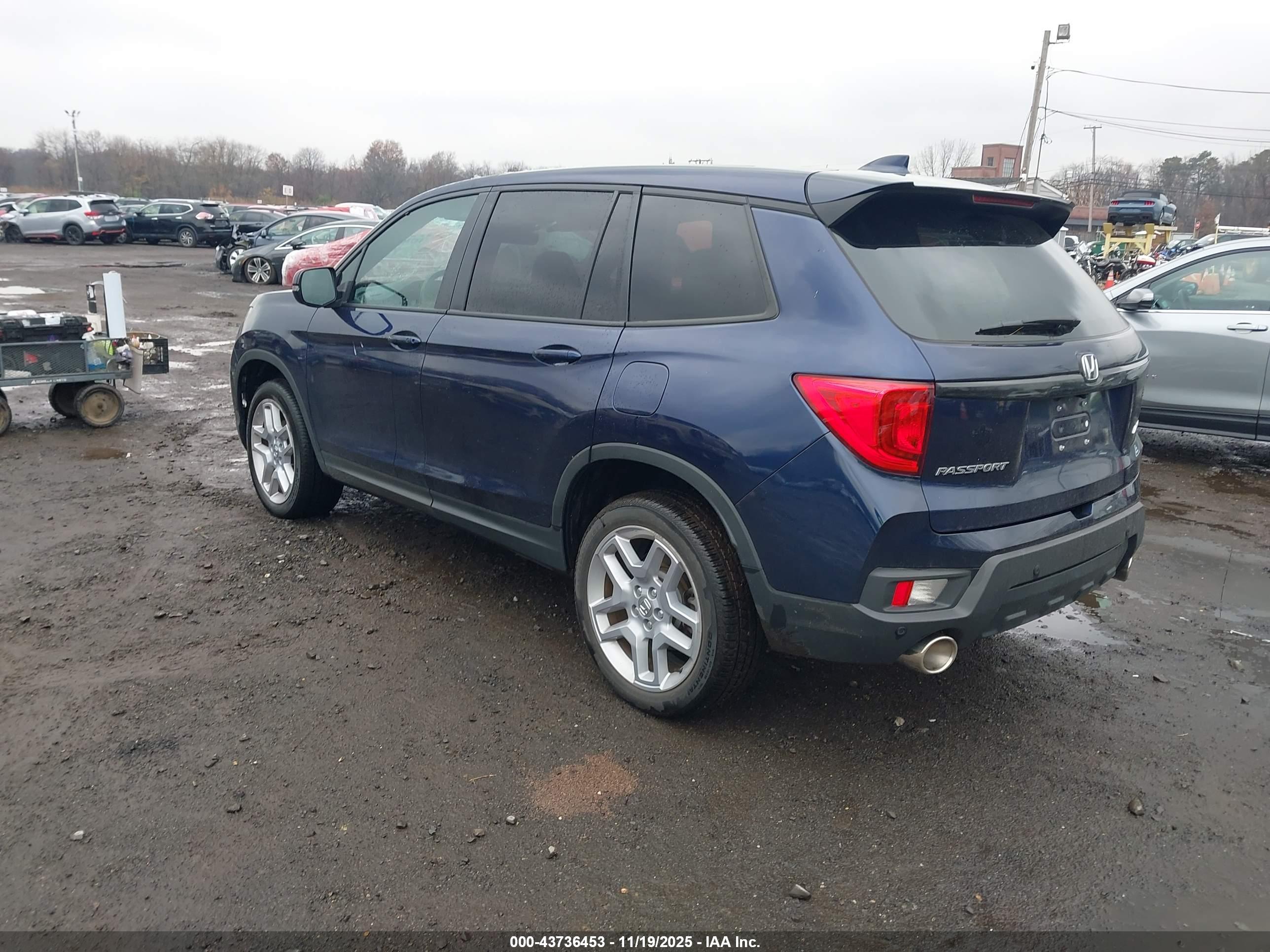 HONDA PASSPORT image 3