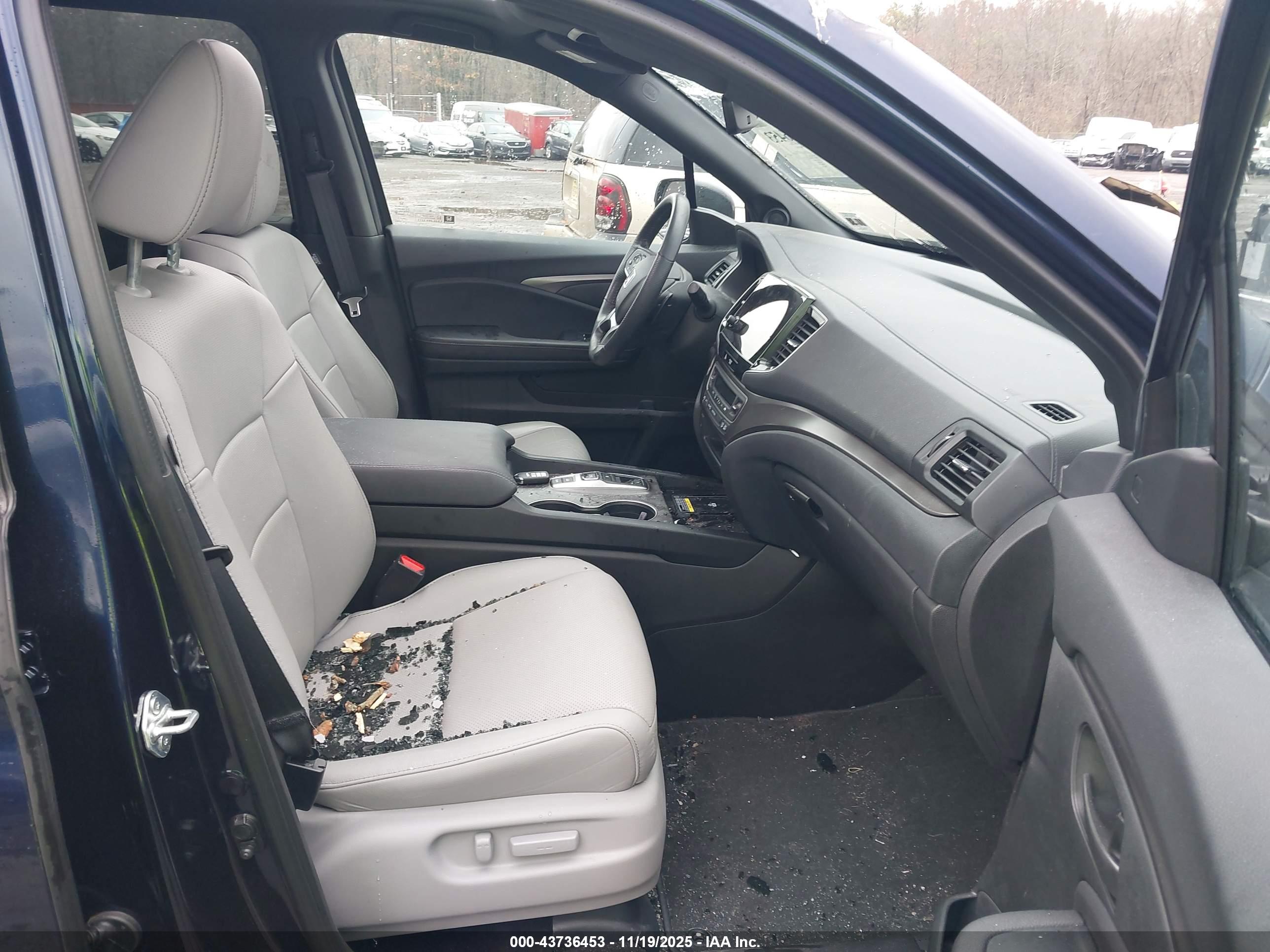 HONDA PASSPORT image 5