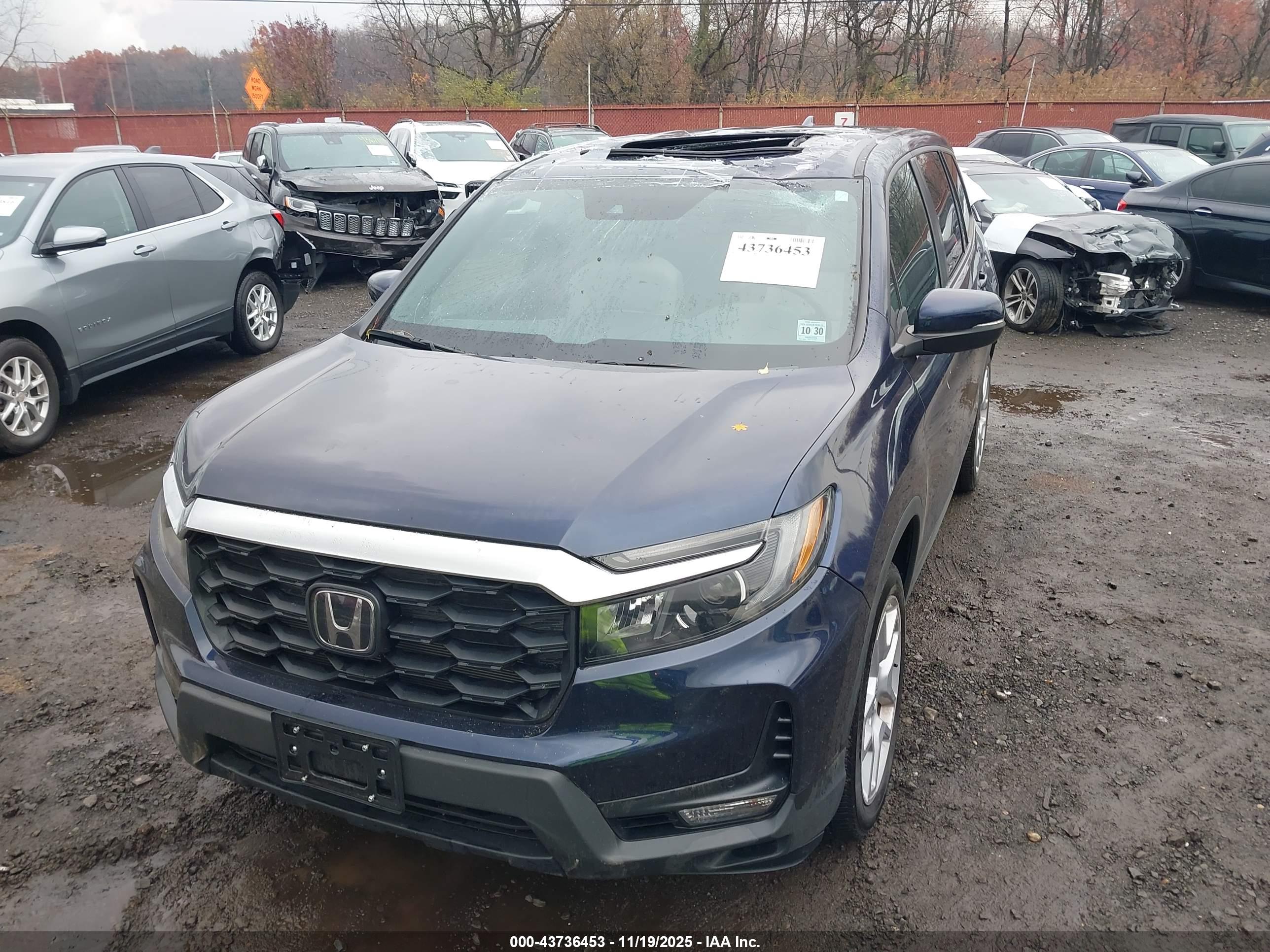 HONDA PASSPORT image 6