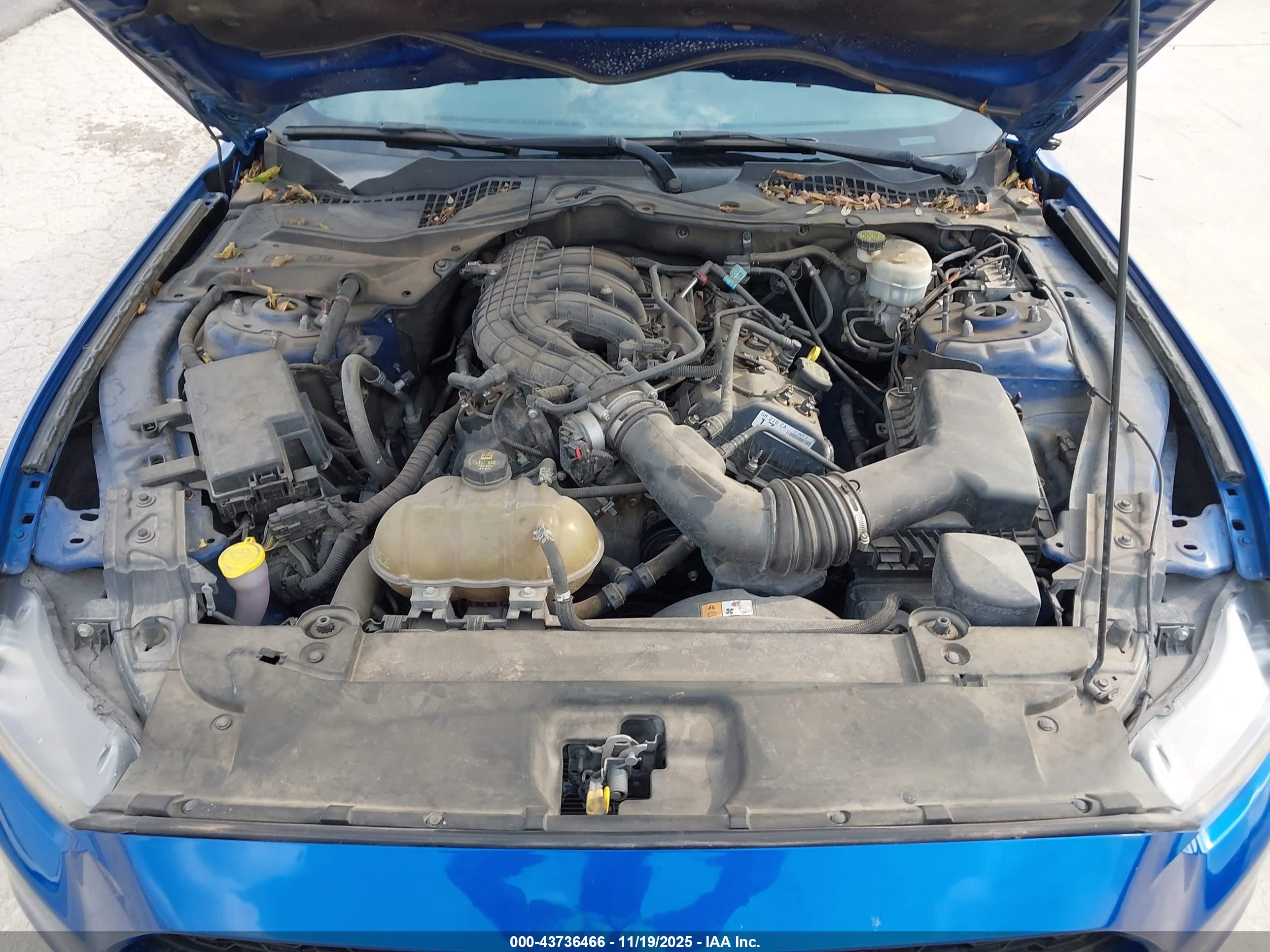 FORD MUSTANG image 10