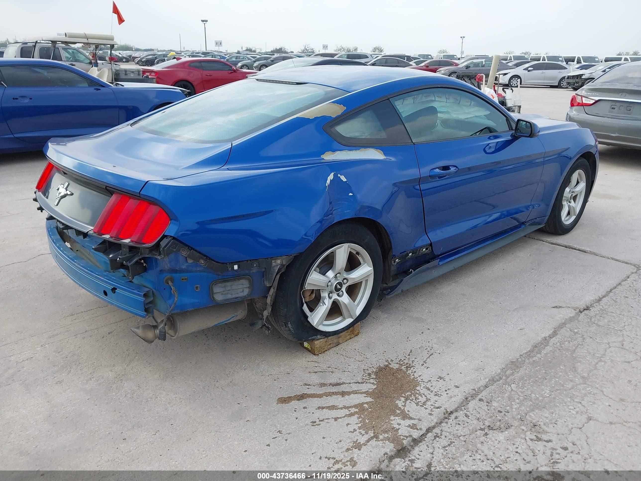 FORD MUSTANG image 4