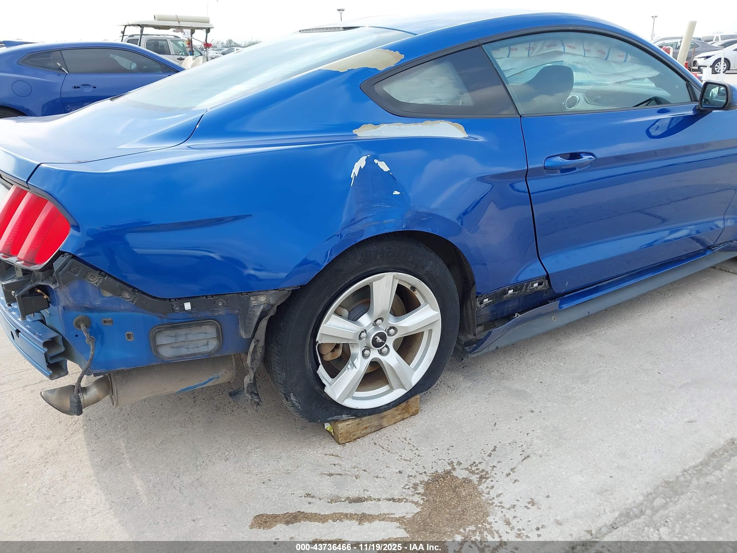 FORD MUSTANG image 6