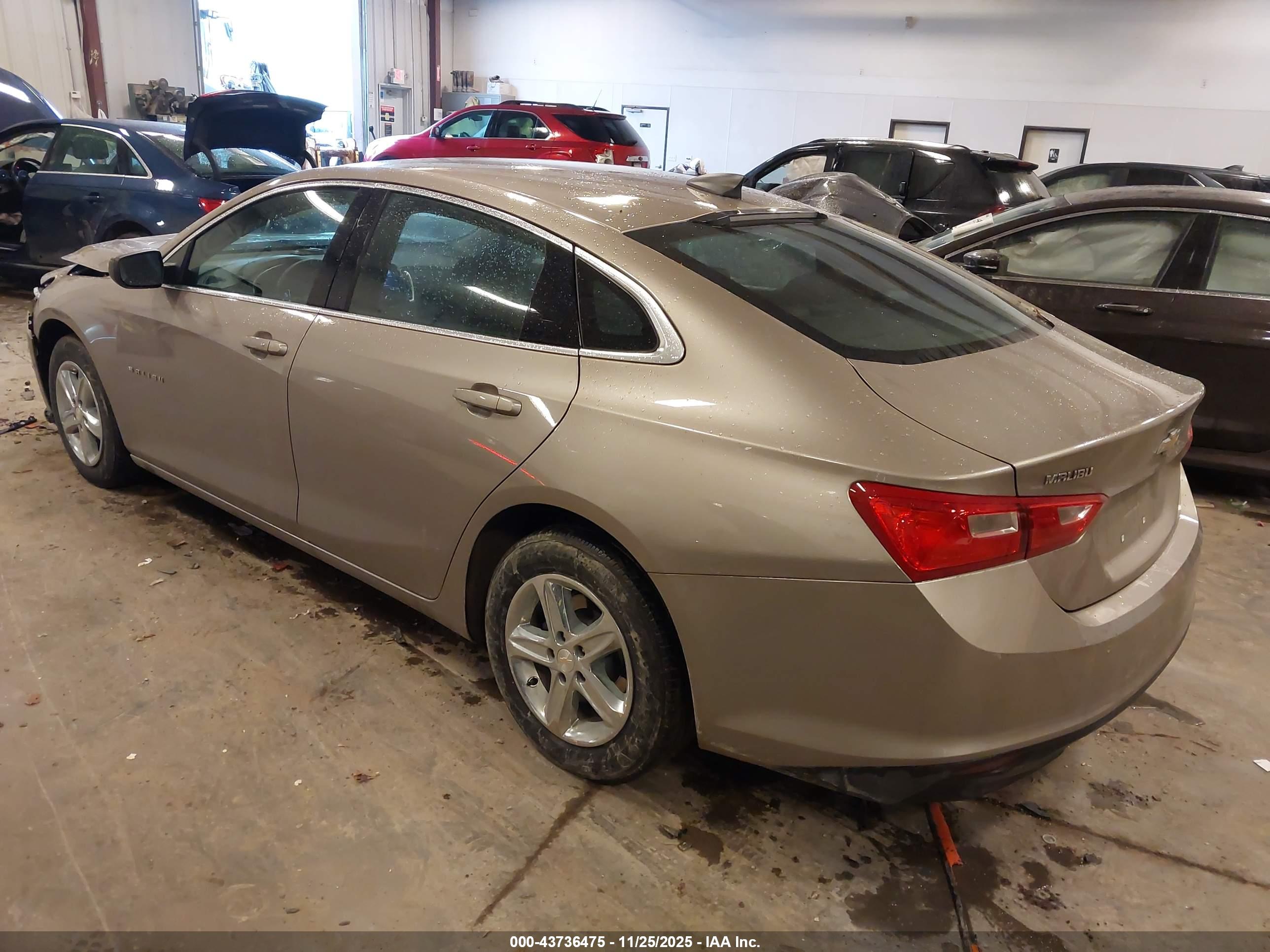 CHEVROLET MALIBU image 3