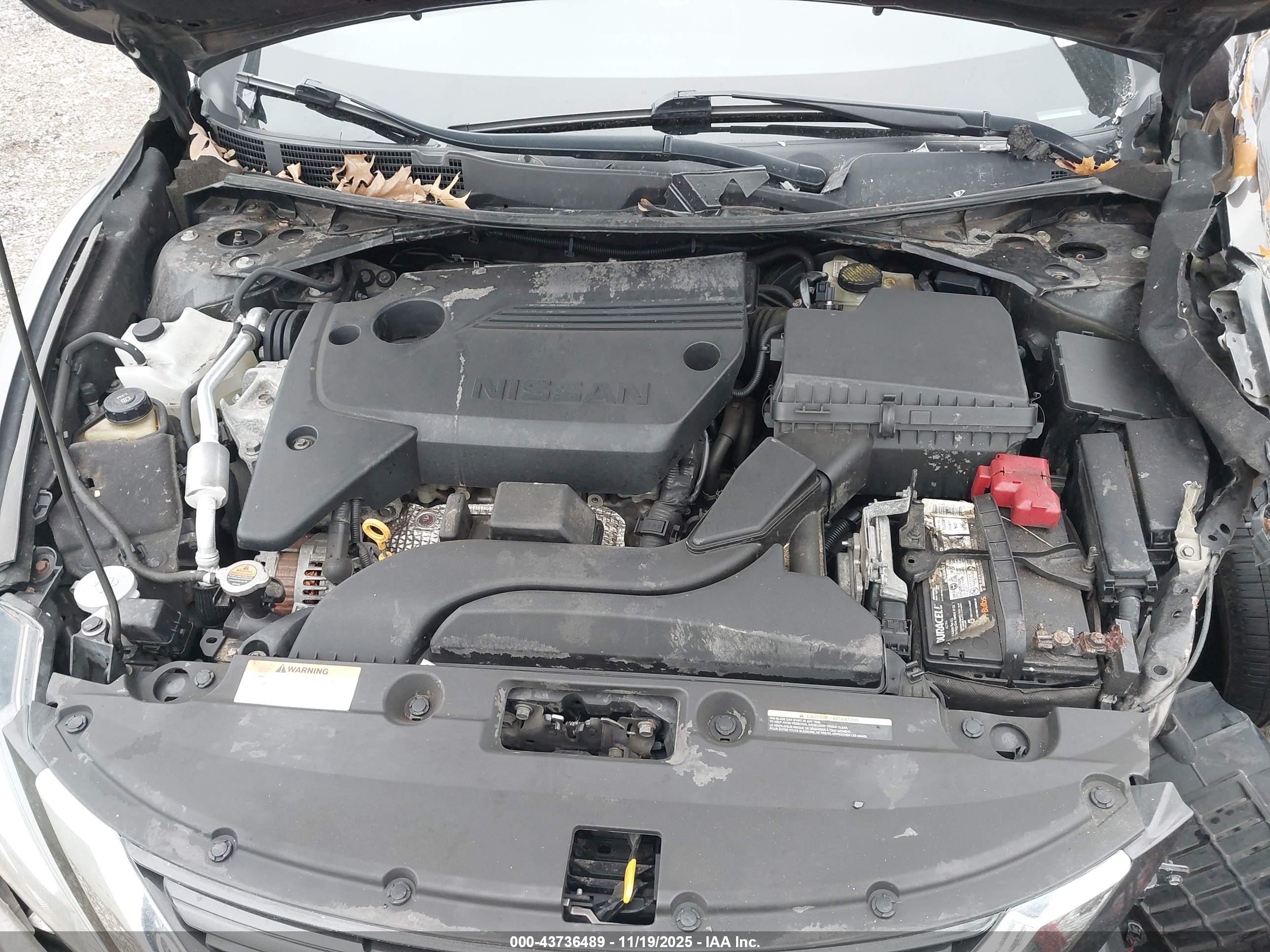 NISSAN ALTIMA image 10