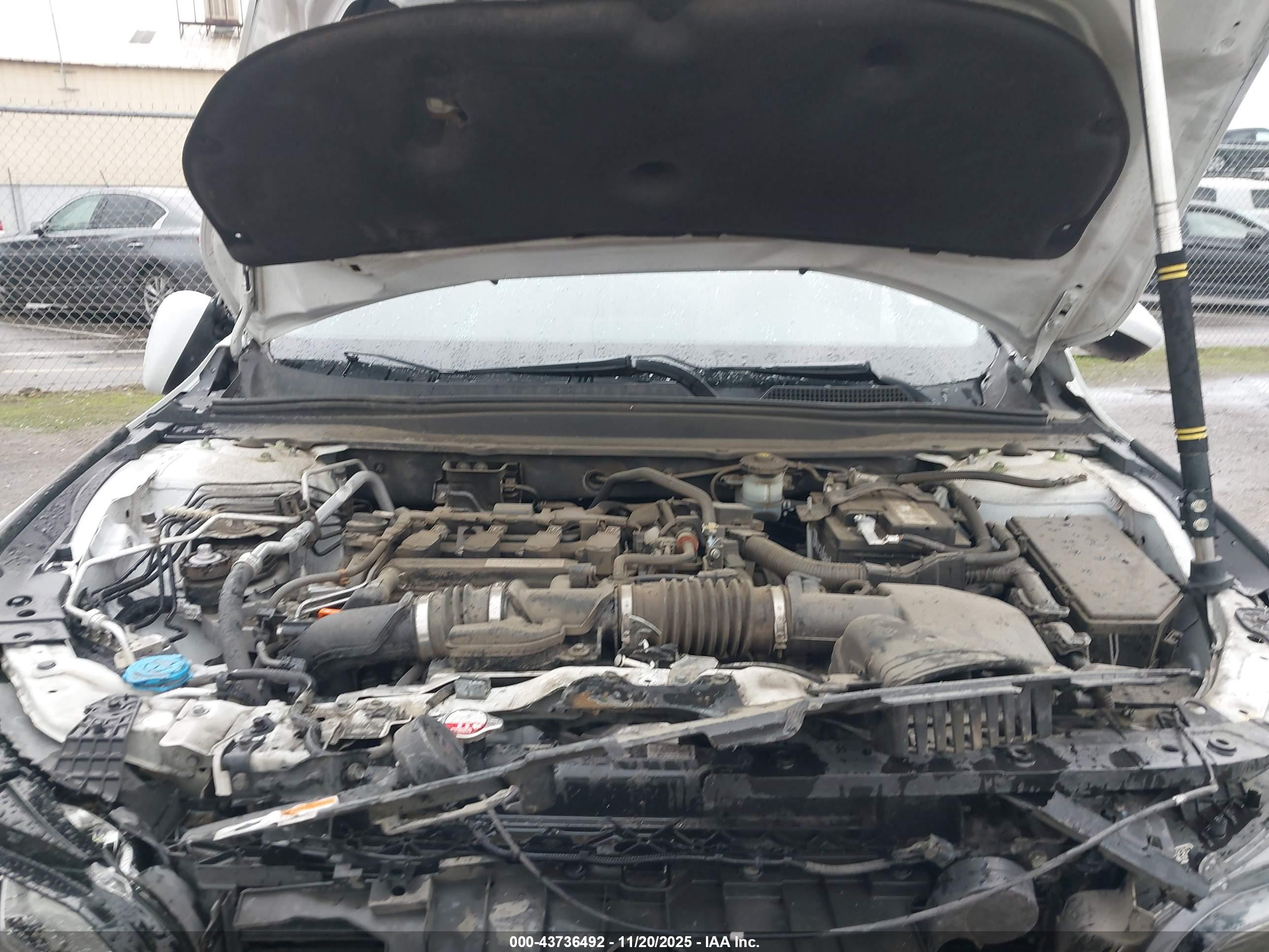 HONDA ACCORD image 10