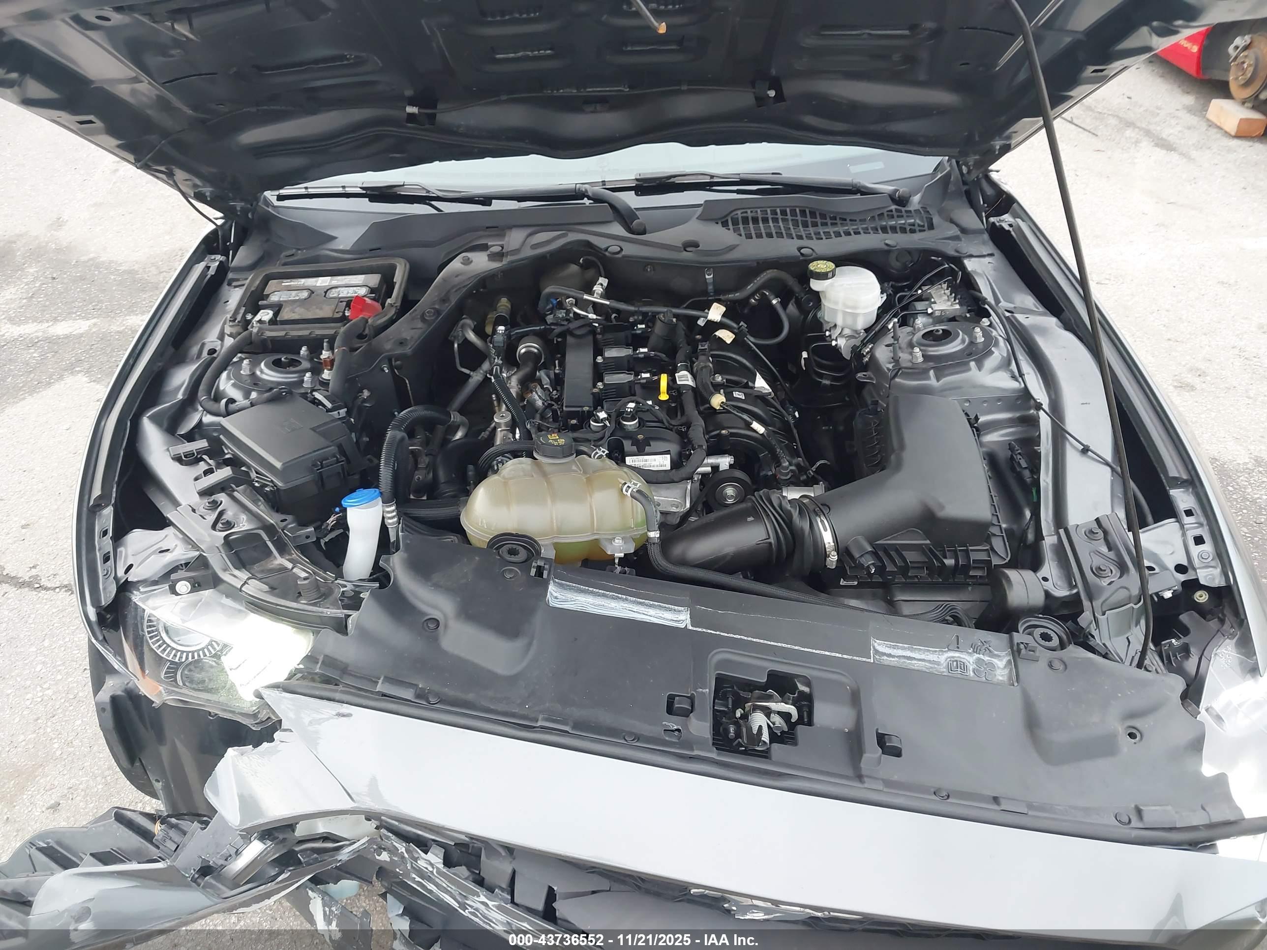 FORD MUSTANG image 10