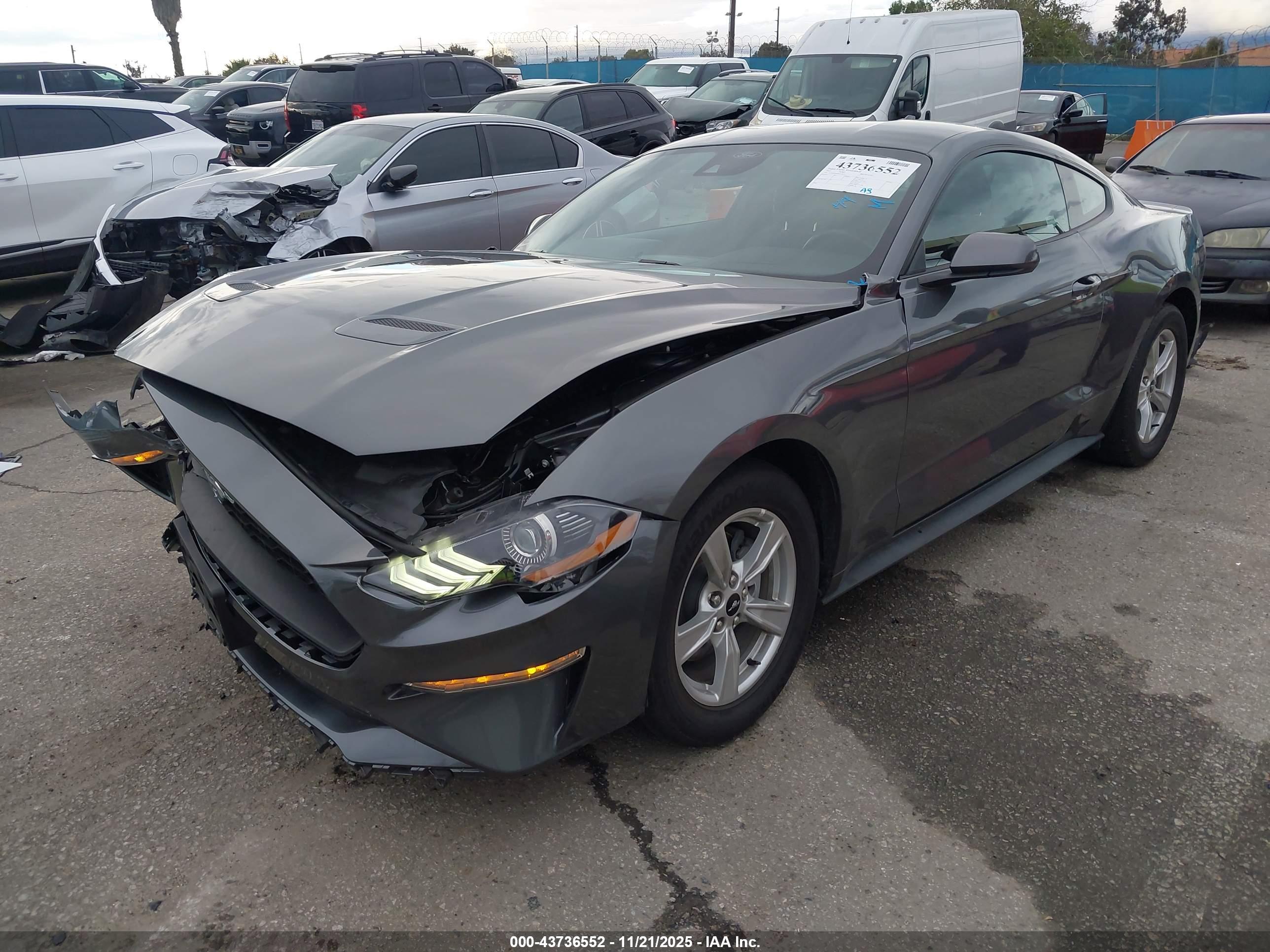 FORD MUSTANG image 2