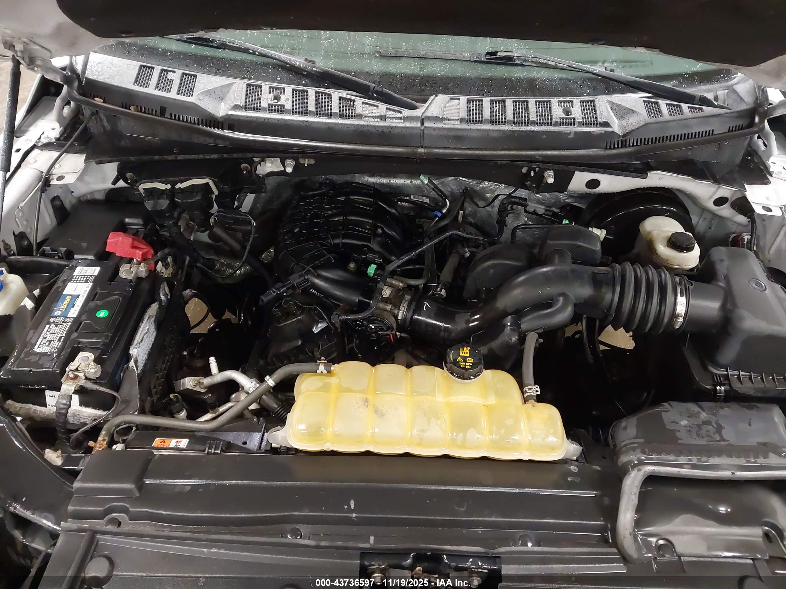 FORD F-150 image 10