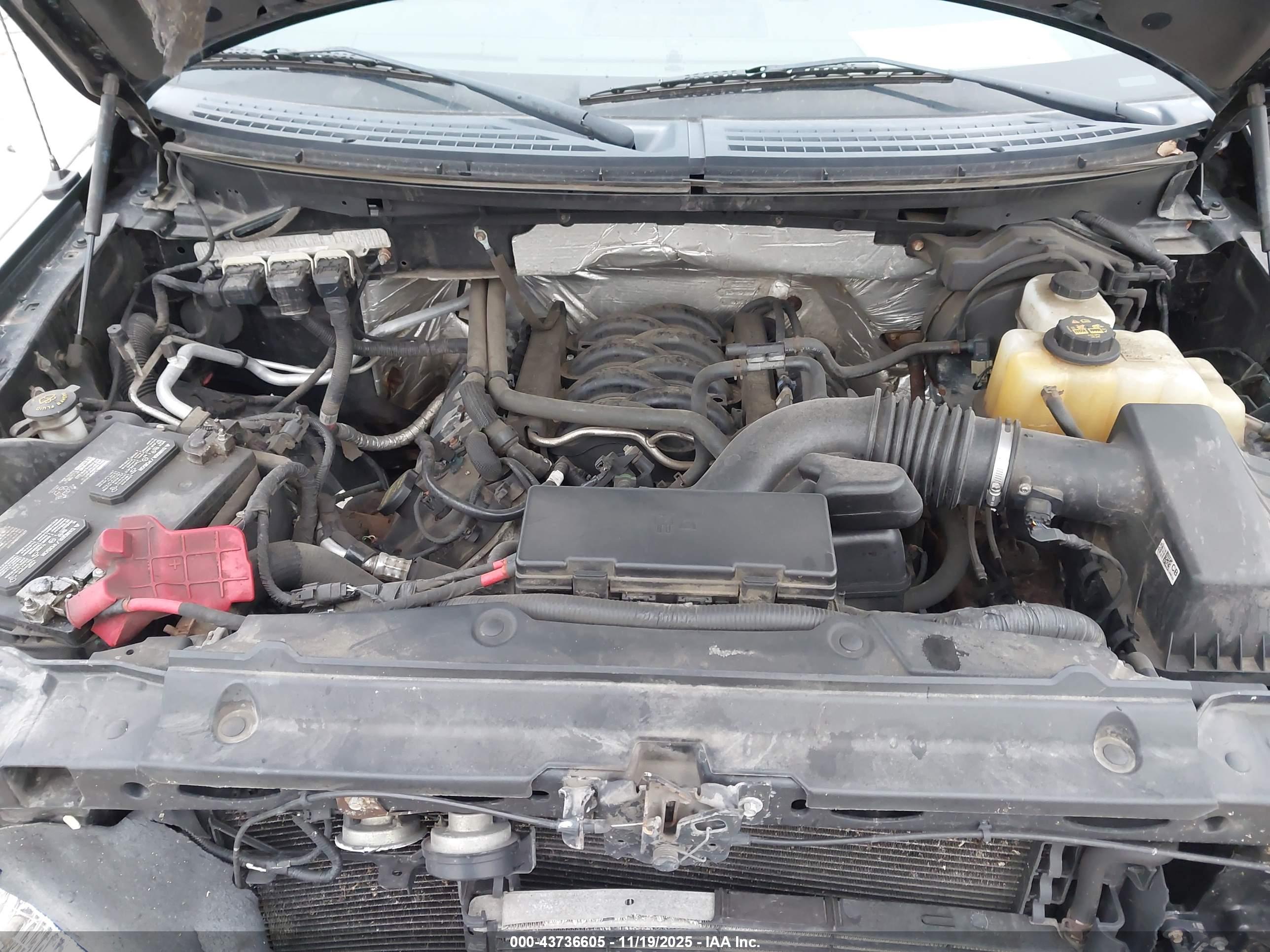 FORD F-150 image 10