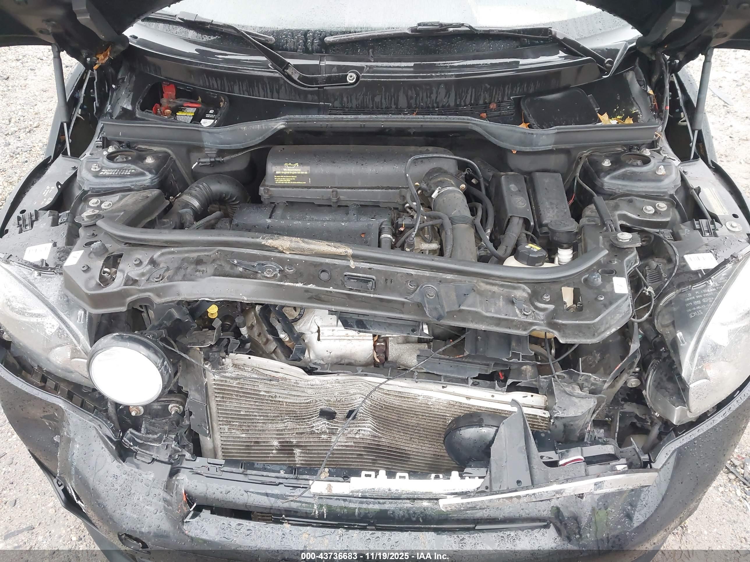 MINI PACEMAN image 10