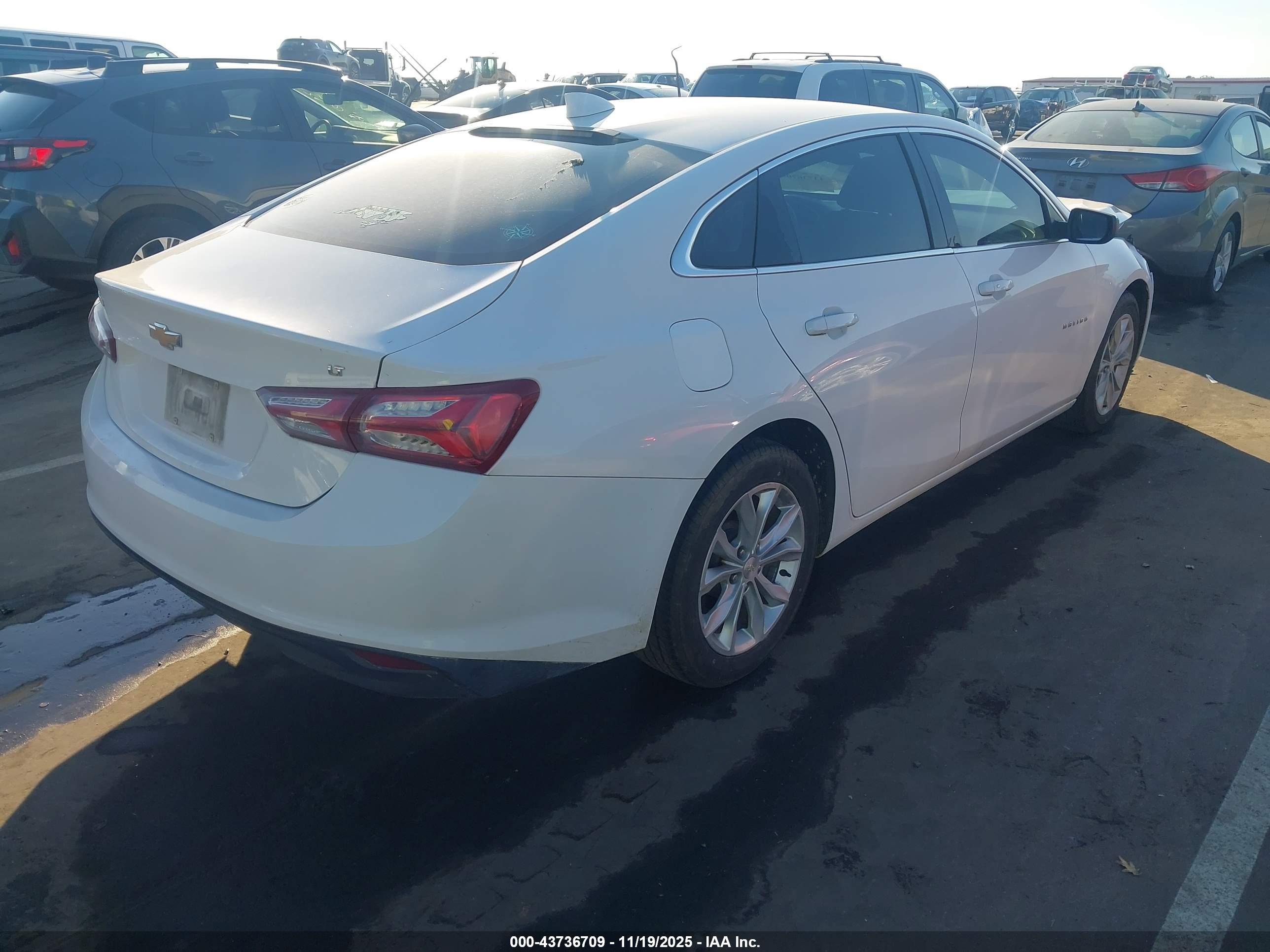 CHEVROLET MALIBU image 4