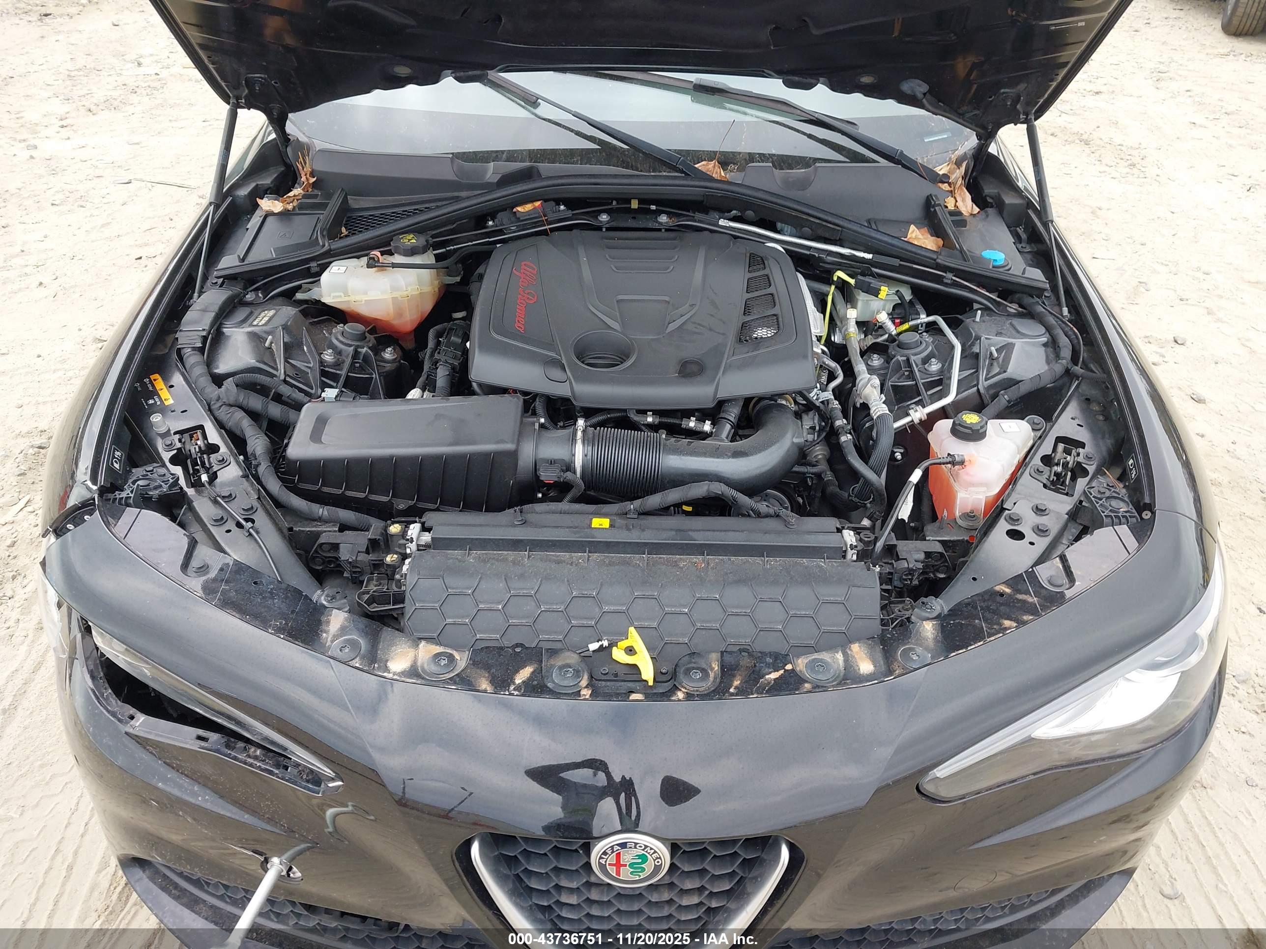 ALFA ROMEO image 10