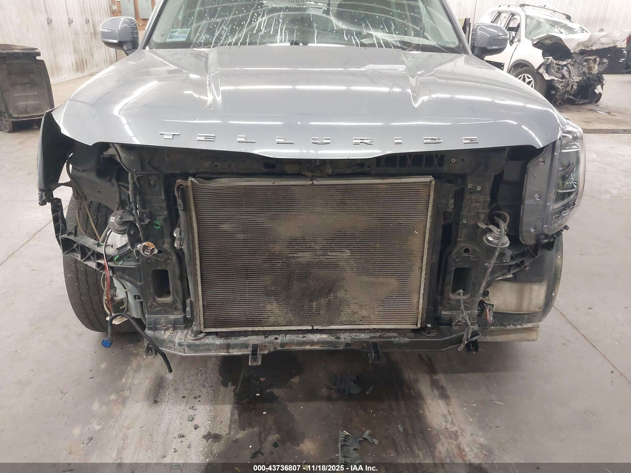 KIA TELLURIDE image 6