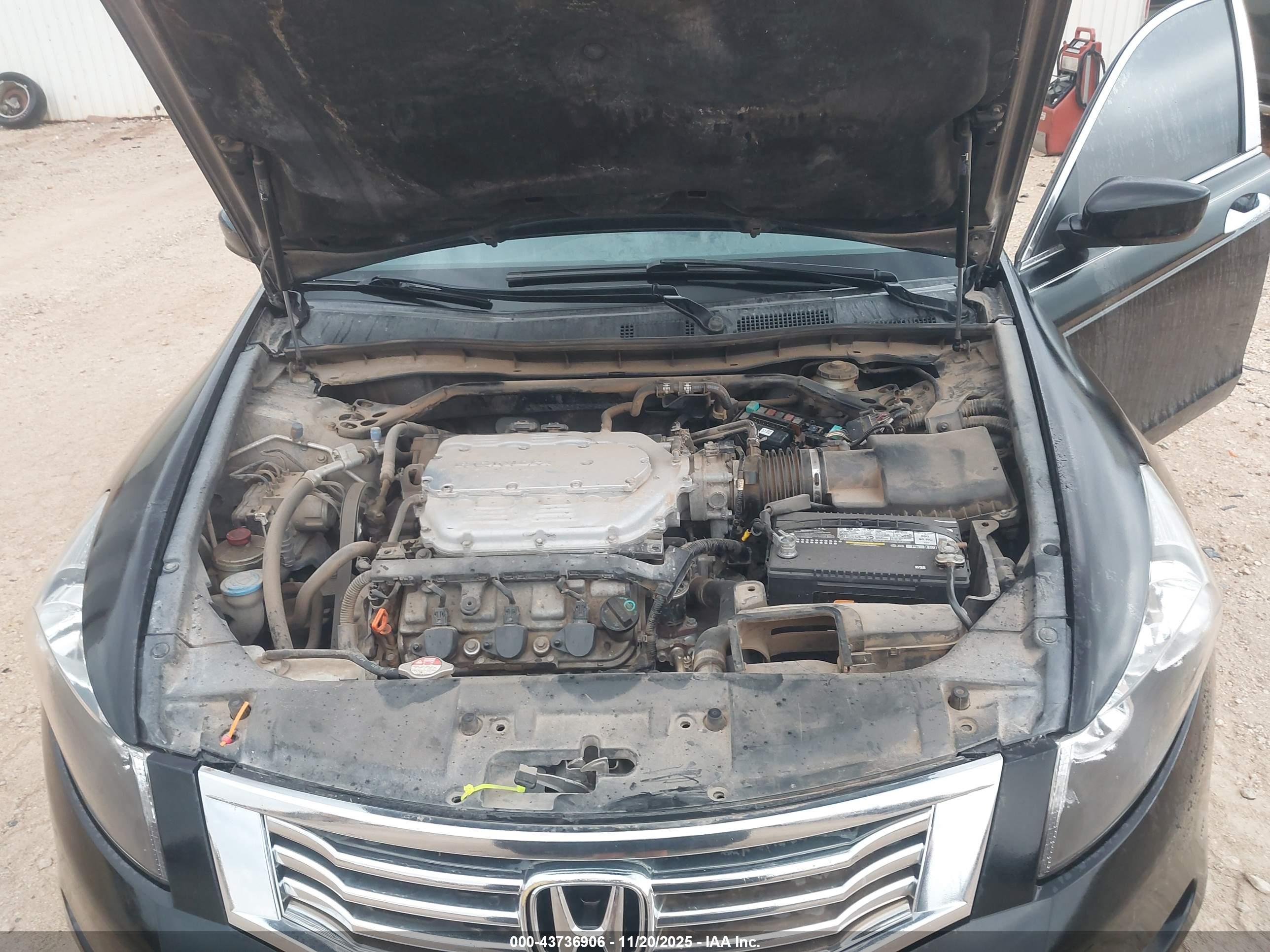 HONDA ACCORD image 10
