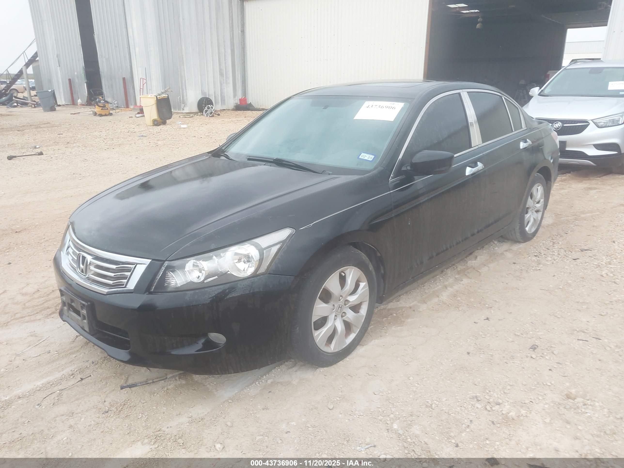 HONDA ACCORD image 2