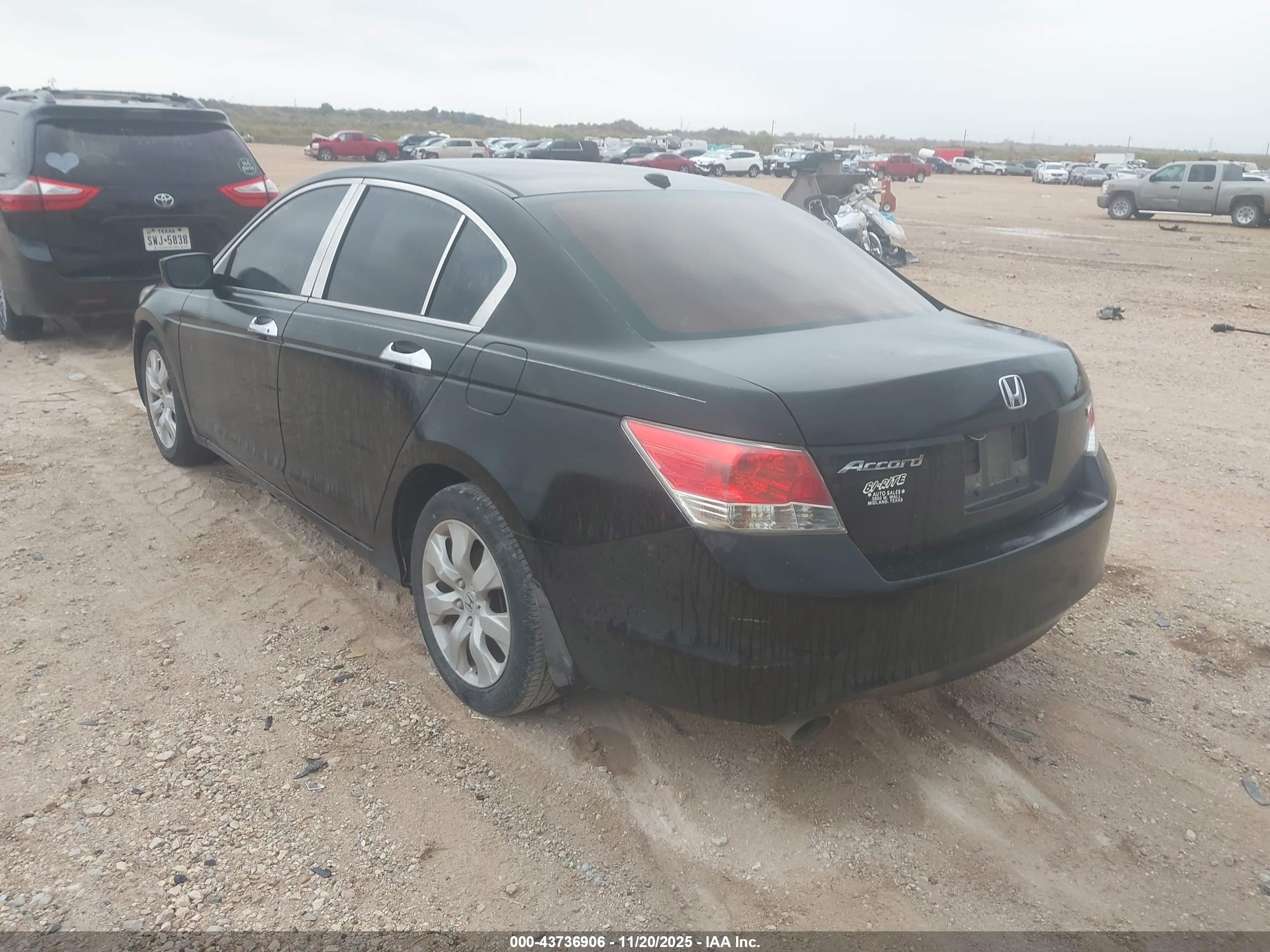 HONDA ACCORD image 3