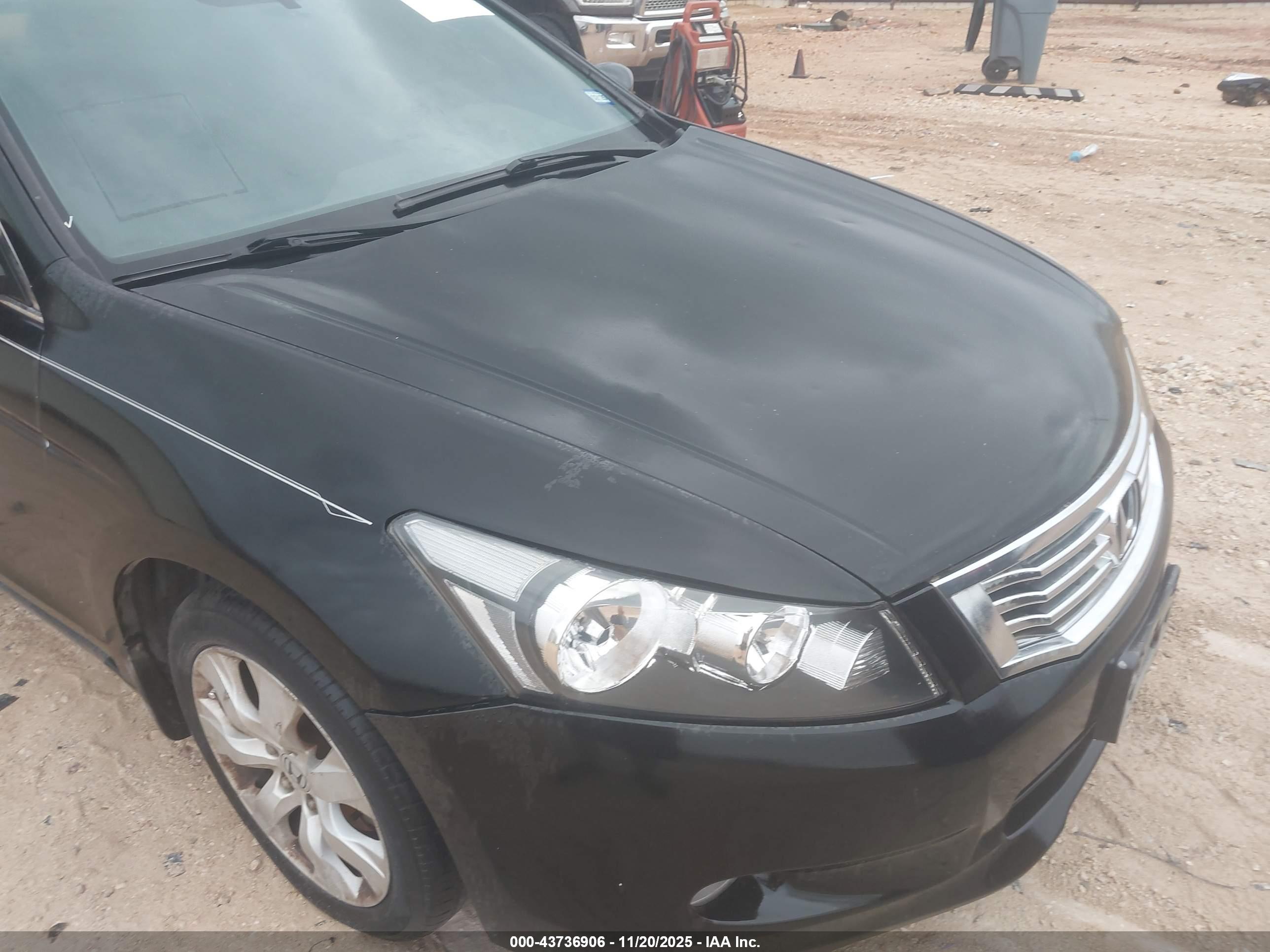 HONDA ACCORD image 6