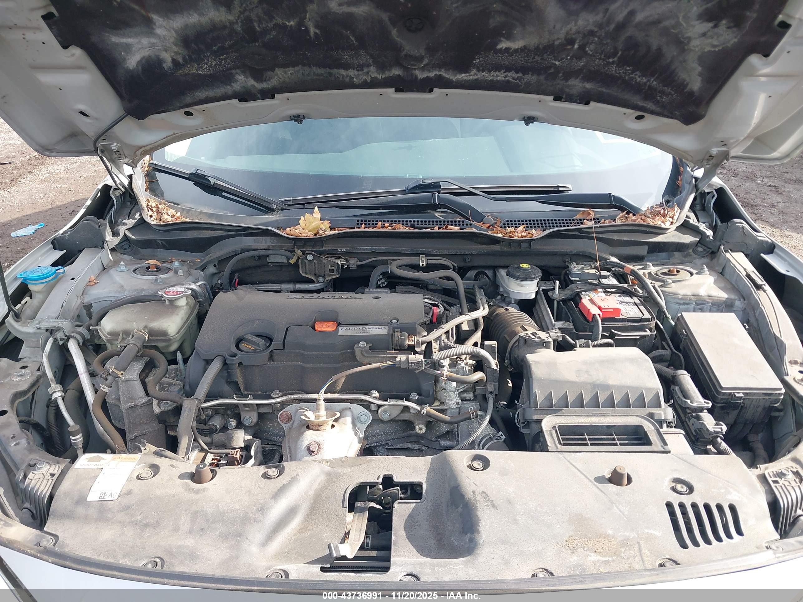 HONDA CIVIC image 10