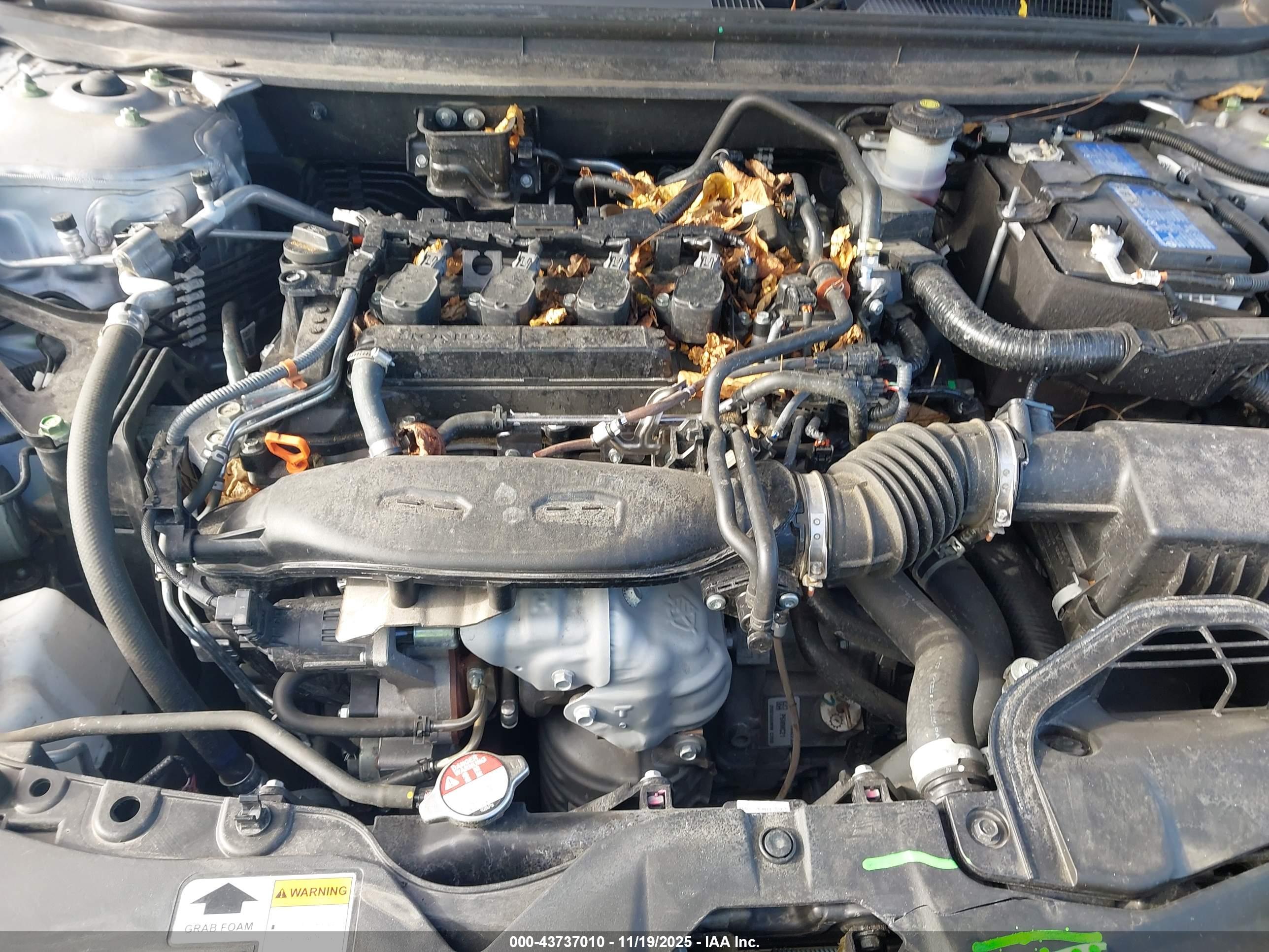 HONDA ACCORD image 10