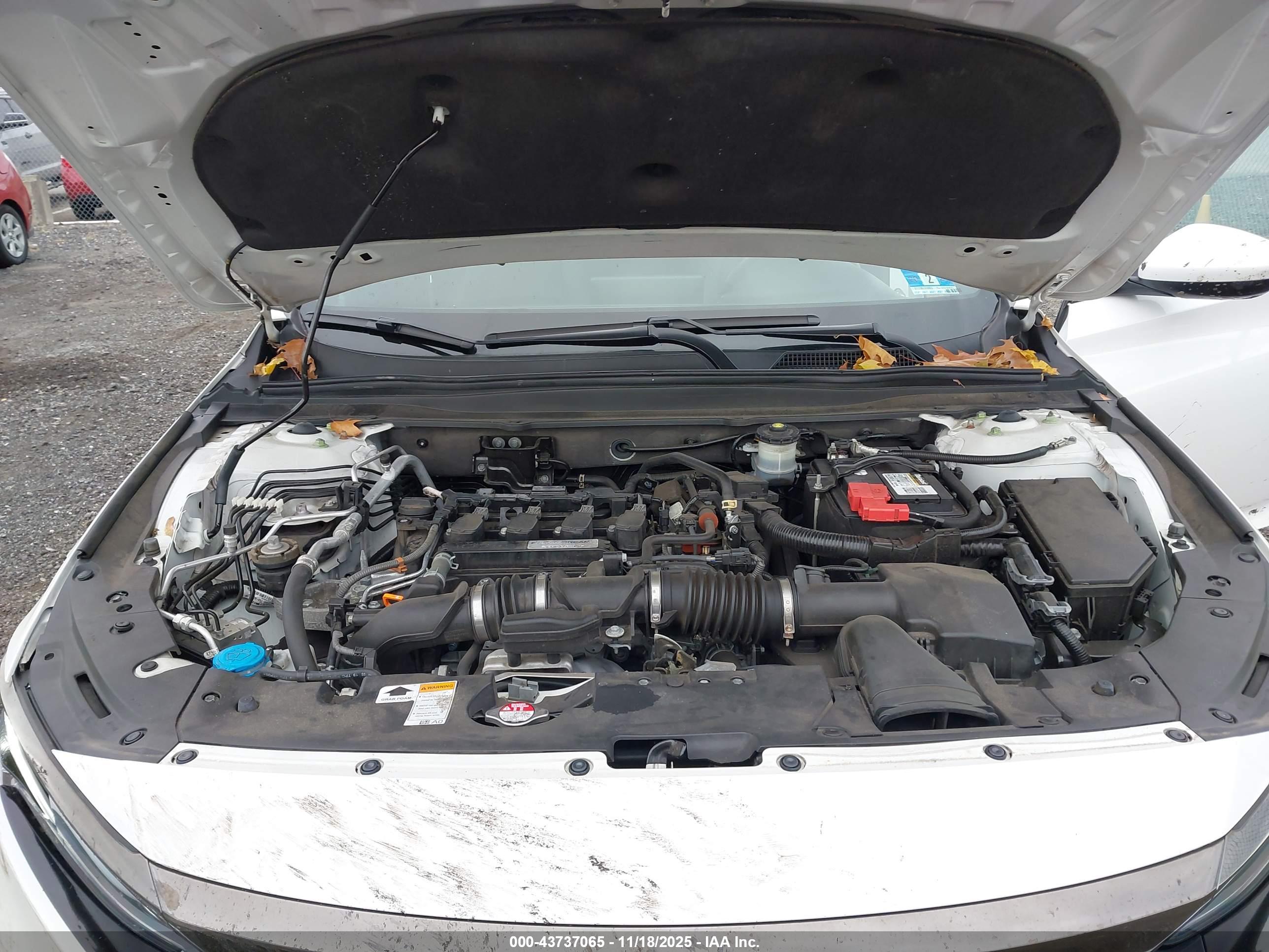 HONDA ACCORD image 10