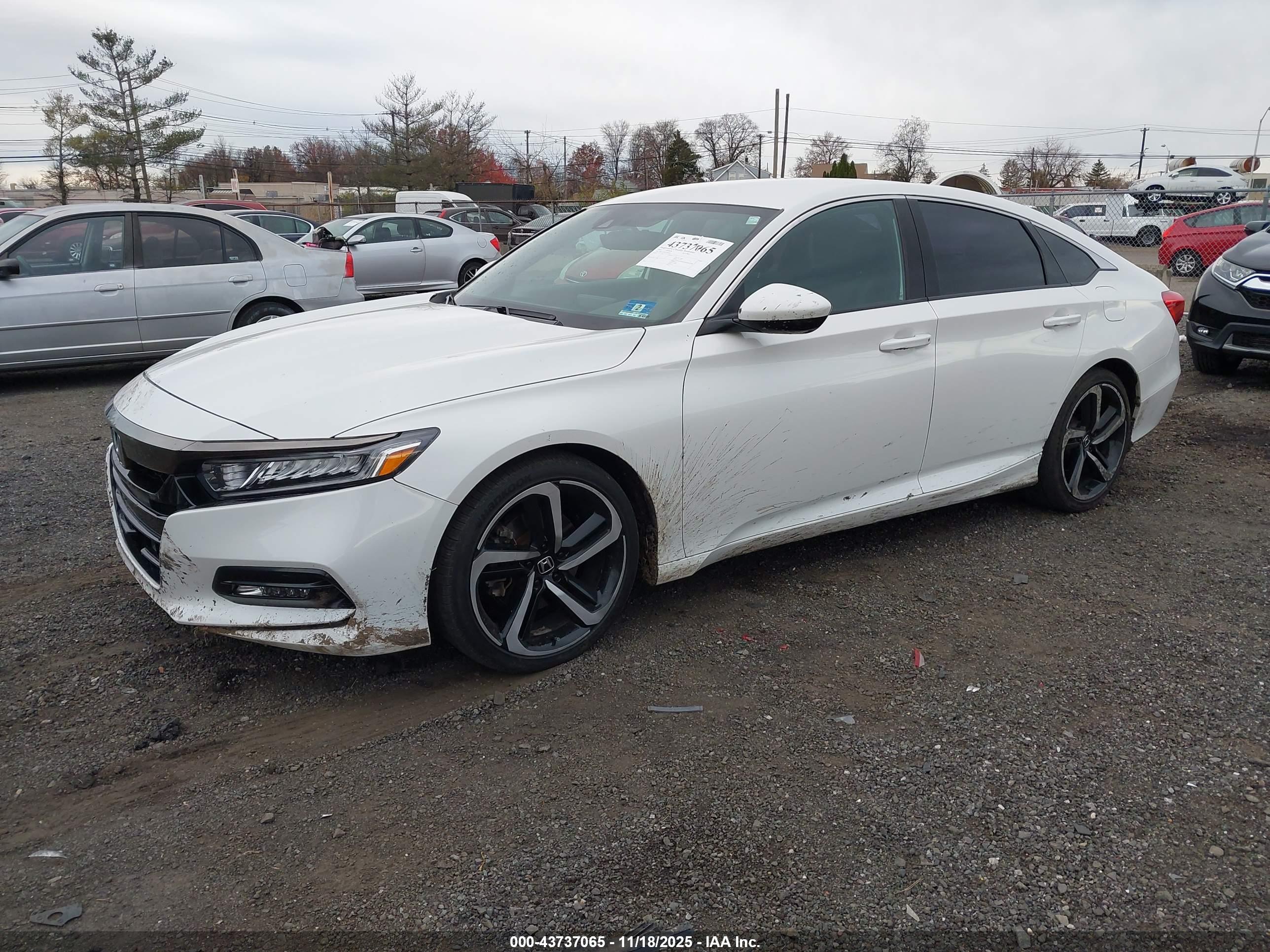 HONDA ACCORD image 2