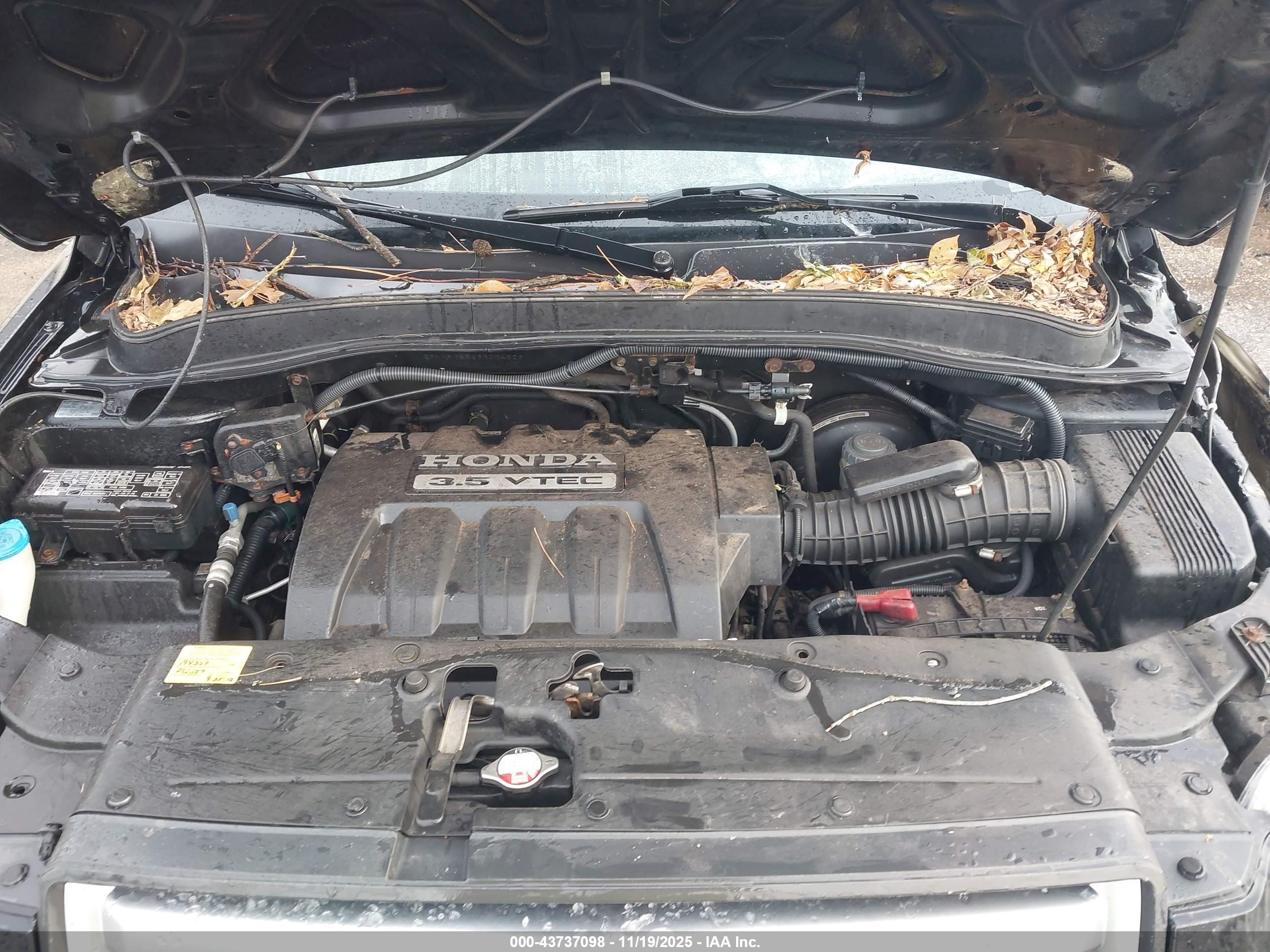 HONDA PILOT image 10