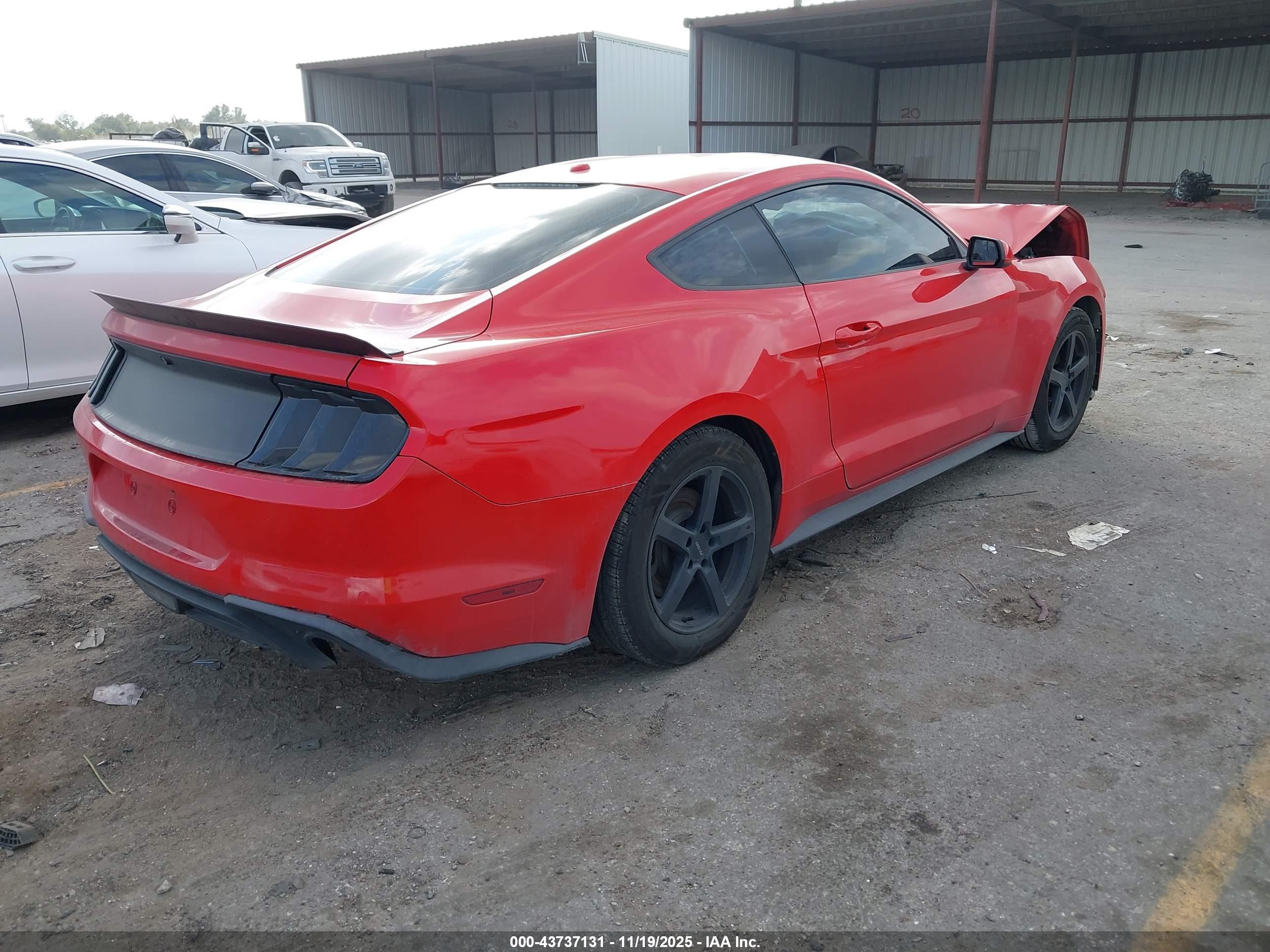 FORD MUSTANG image 4